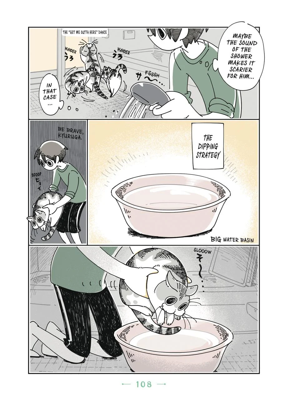 Page 108