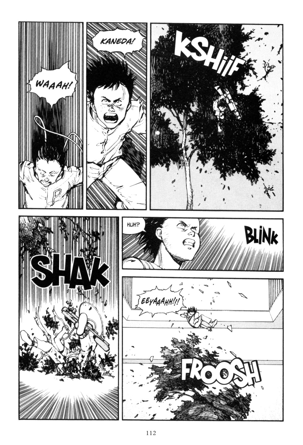 Page 110