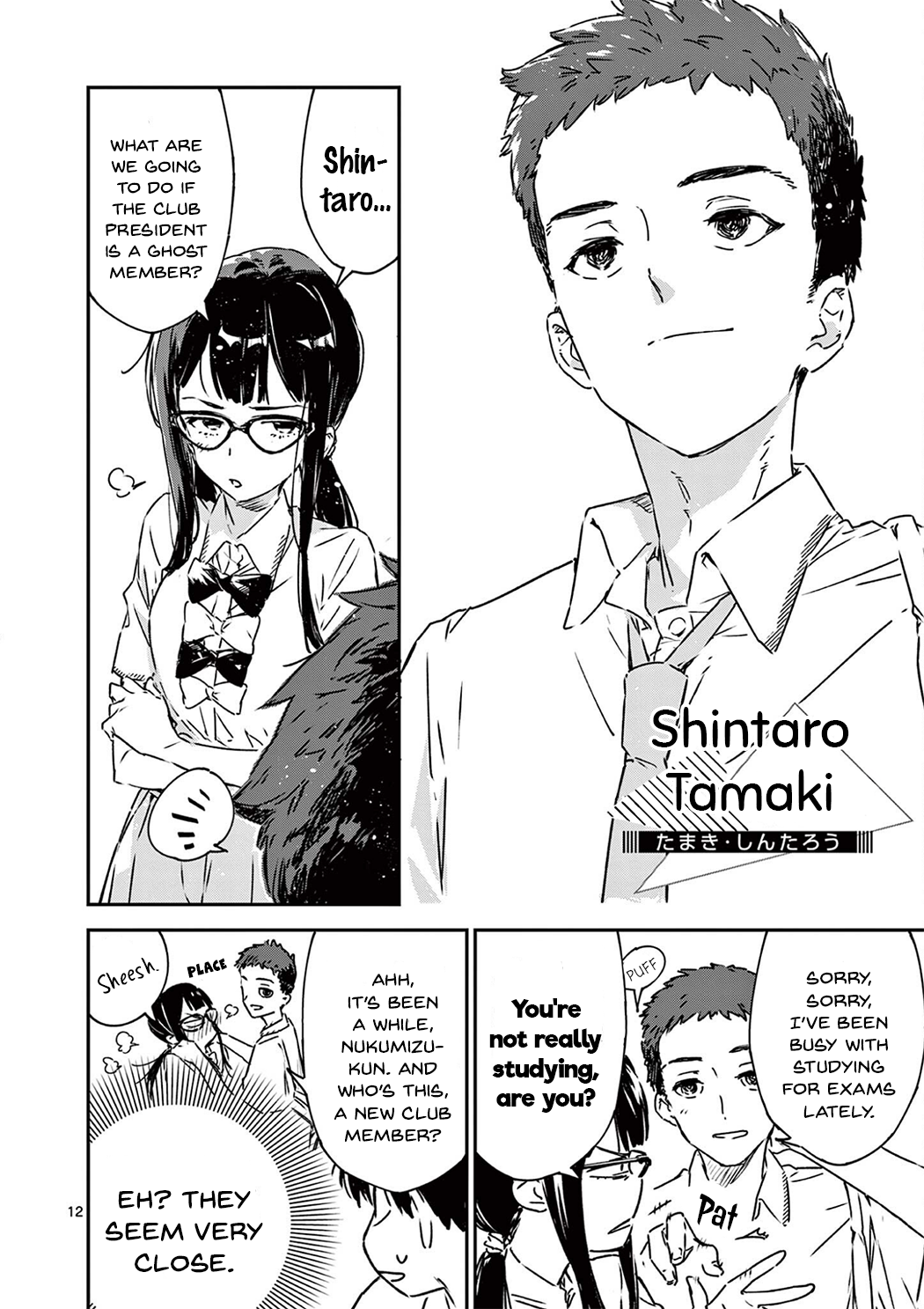 Page 12