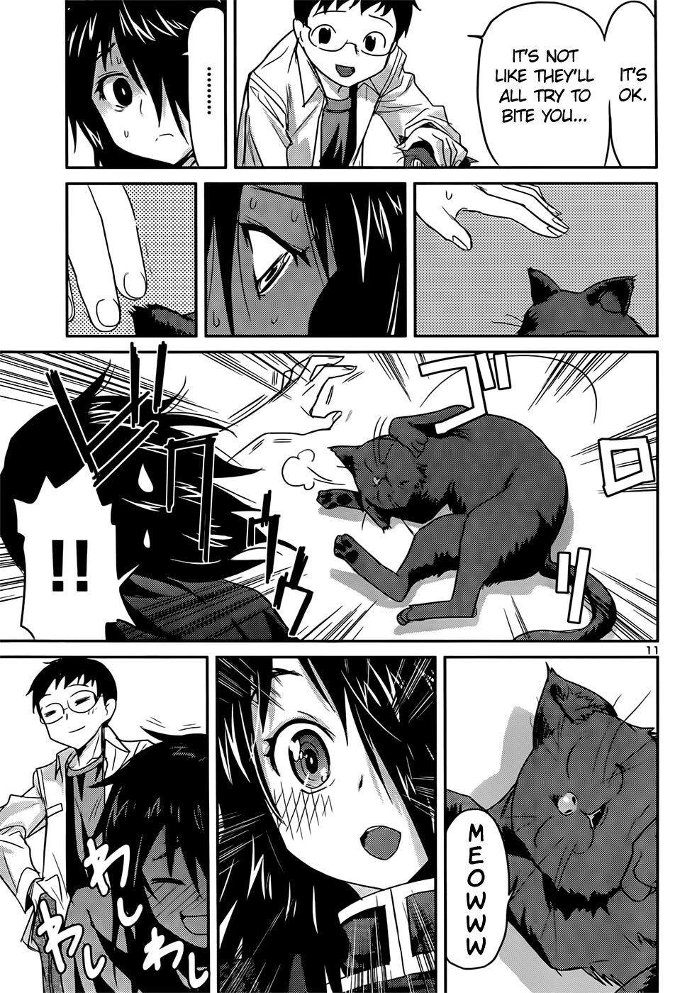 Page 11