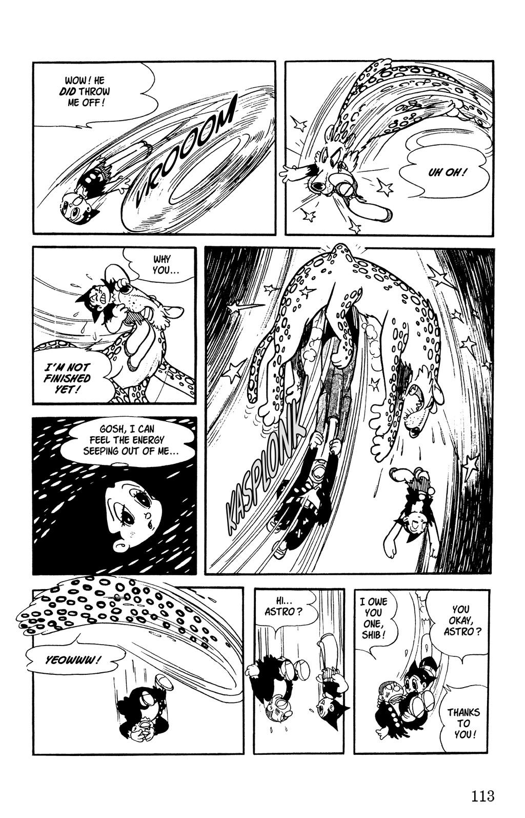 Page 113