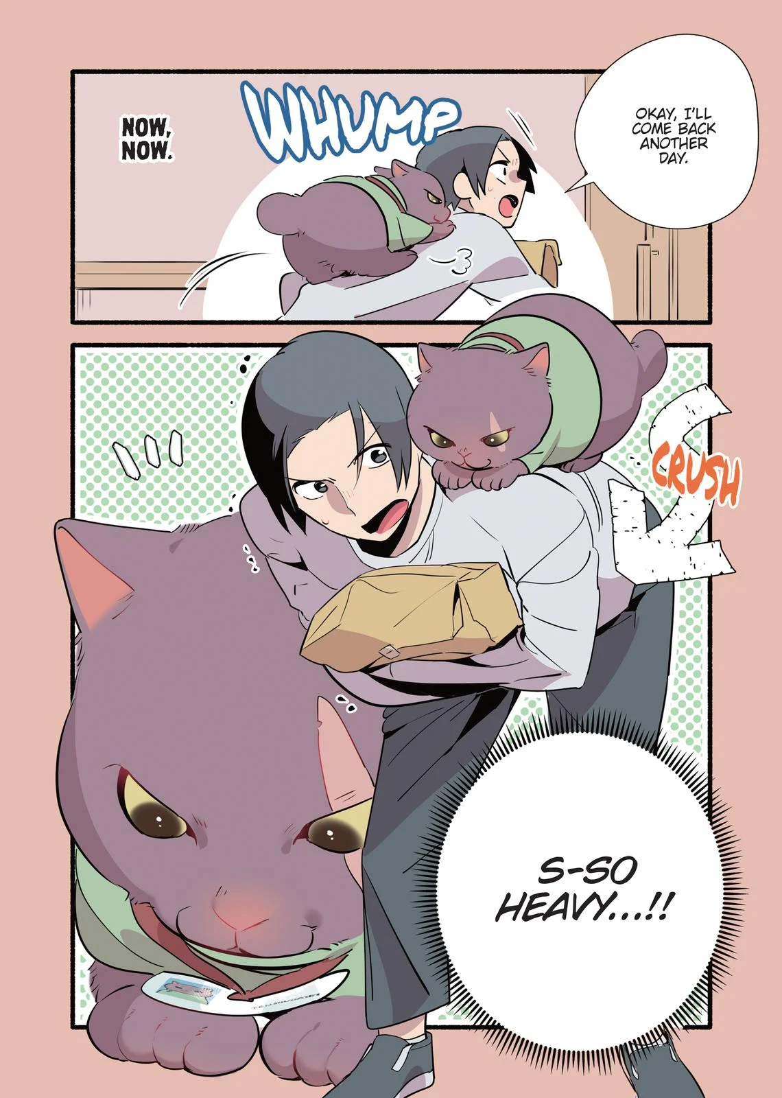 Page 117
