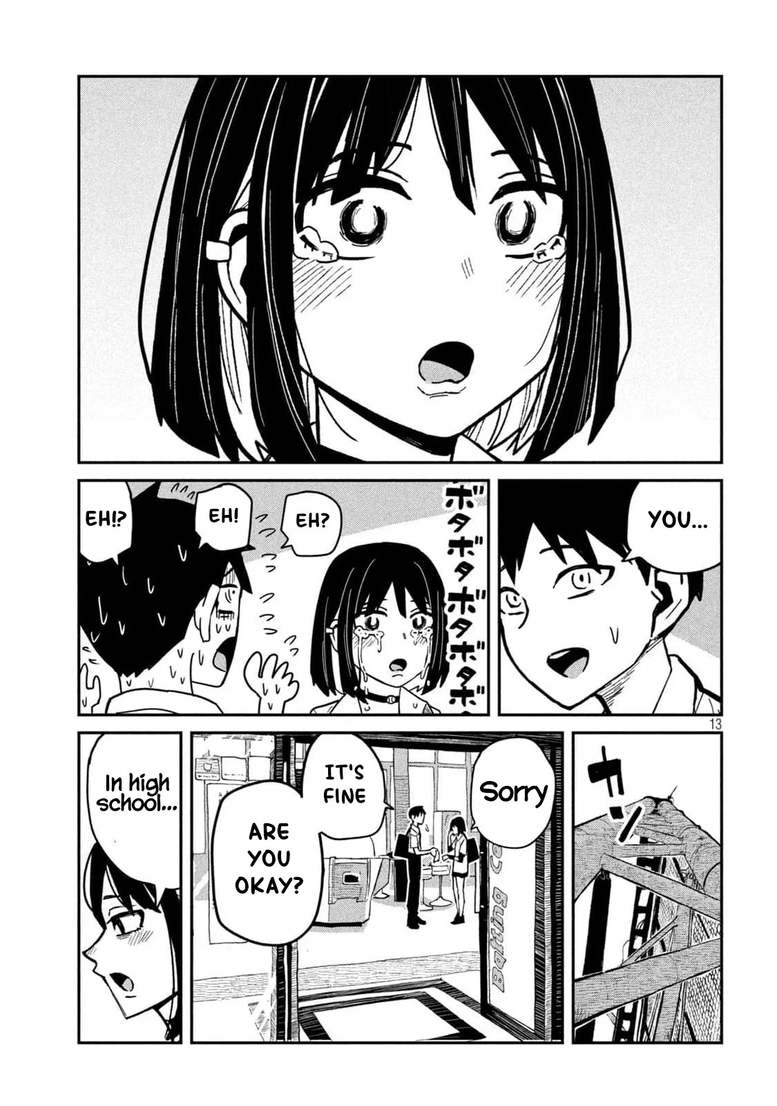 Page 13