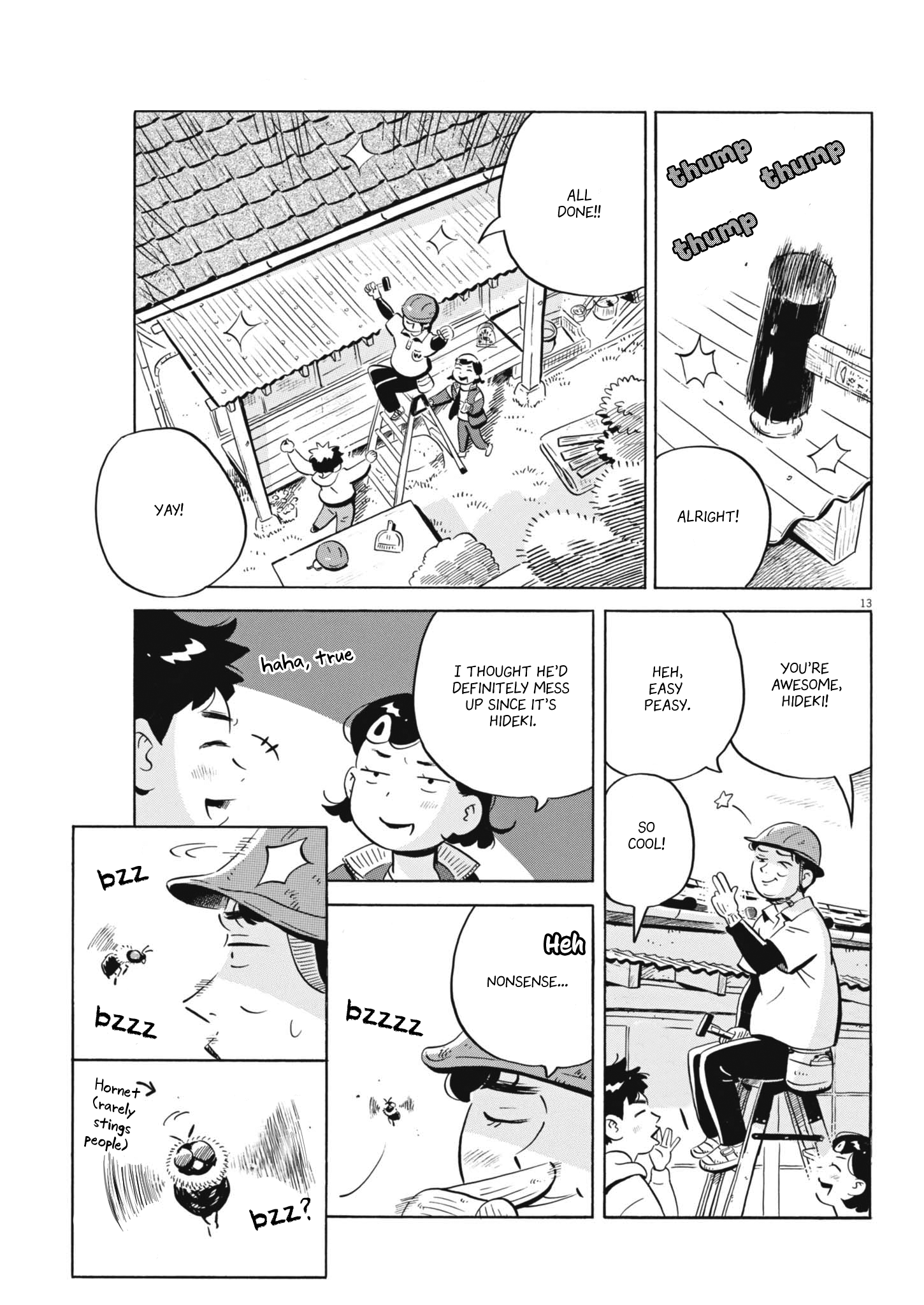 Page 13