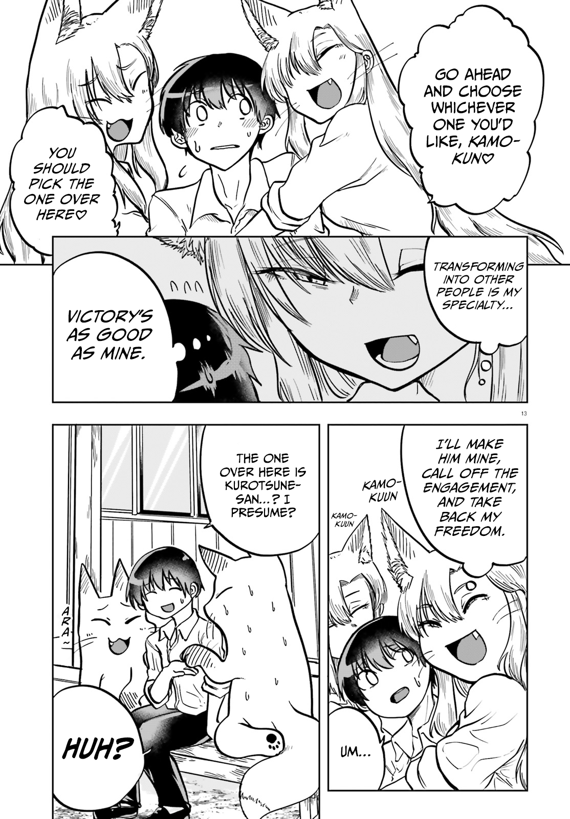 Page 13