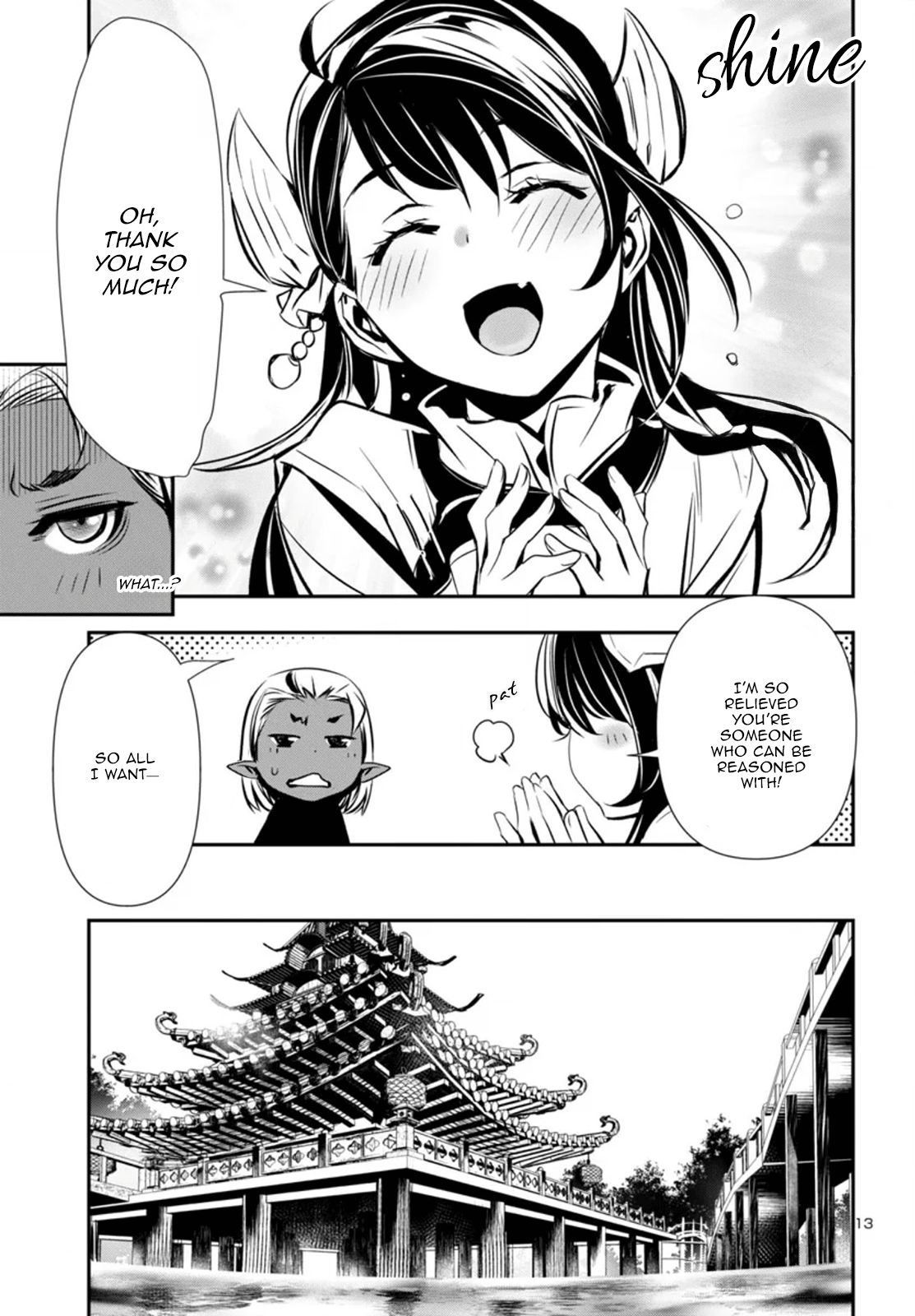 Page 13