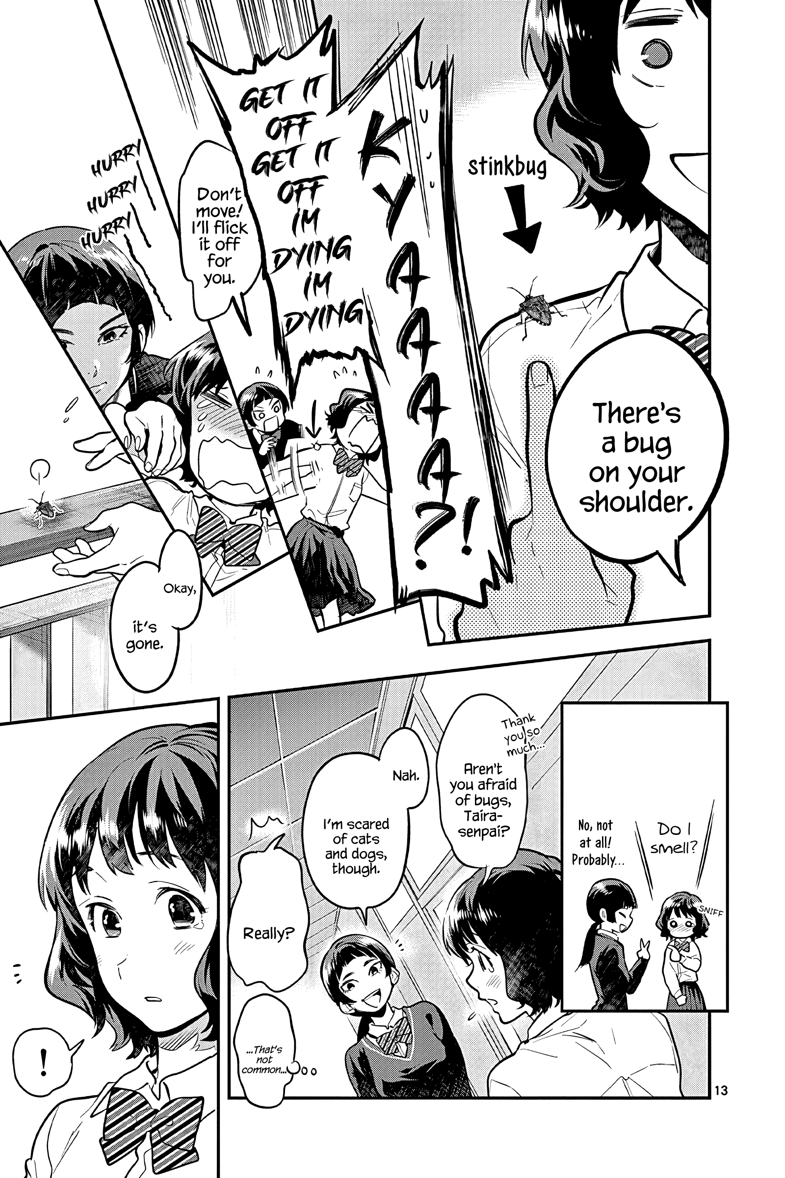 Page 13