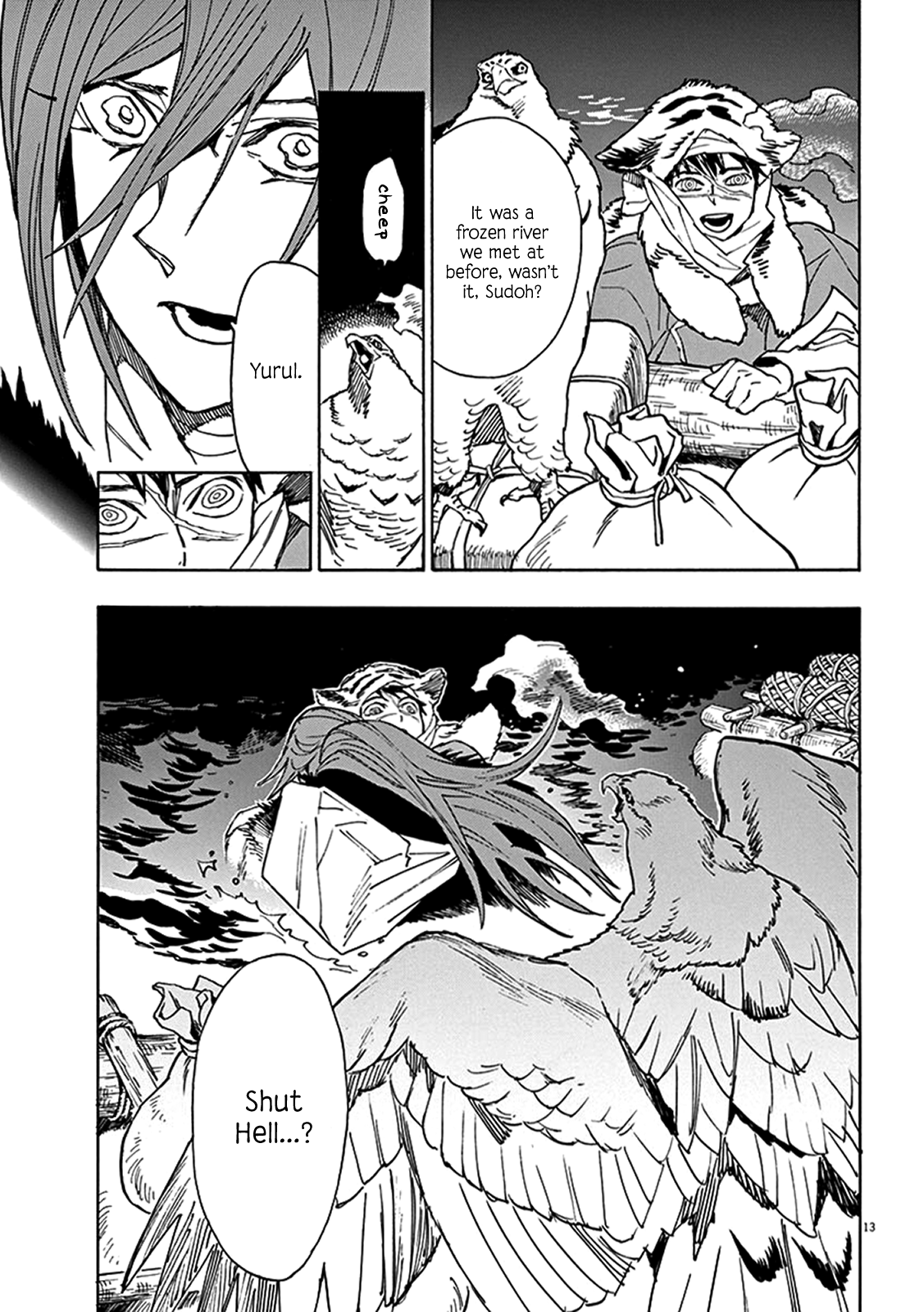 Page 13