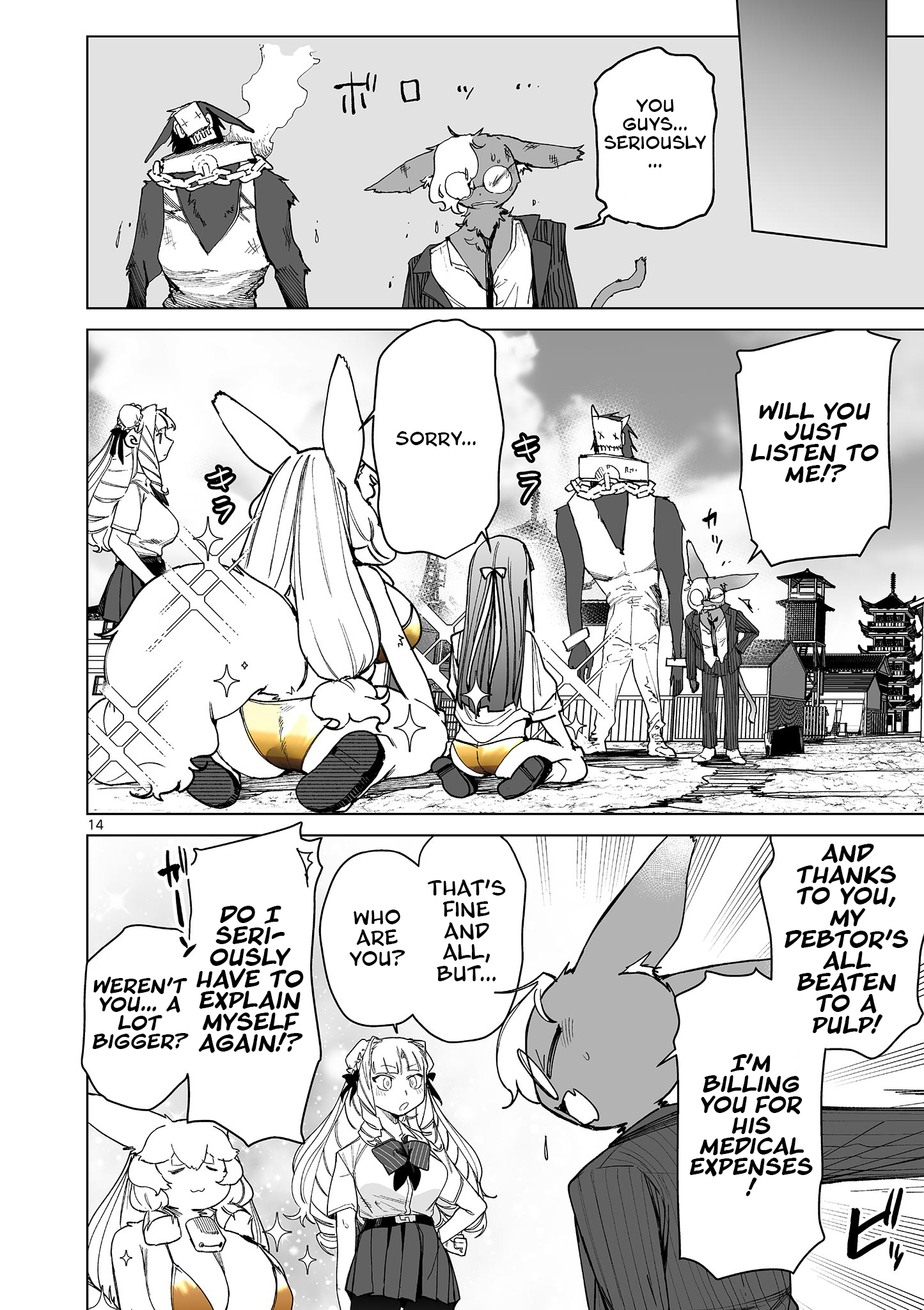 Page 14