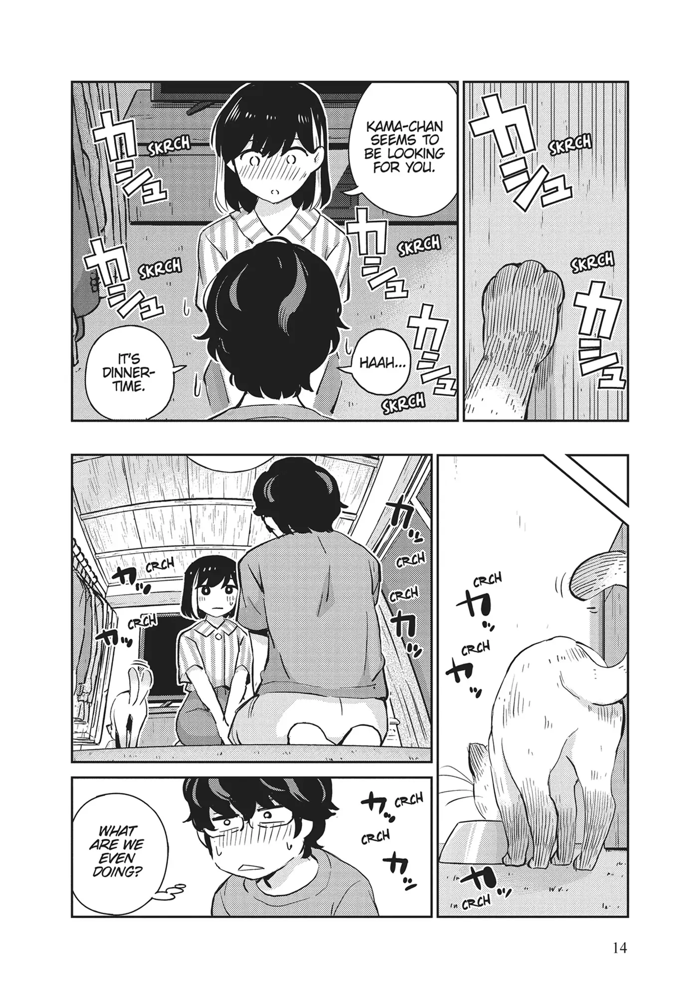 Page 14