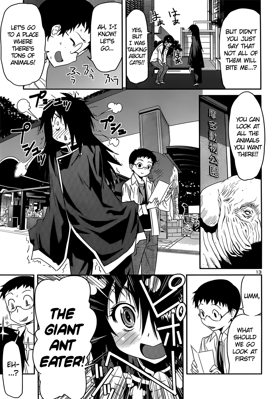 Page 13