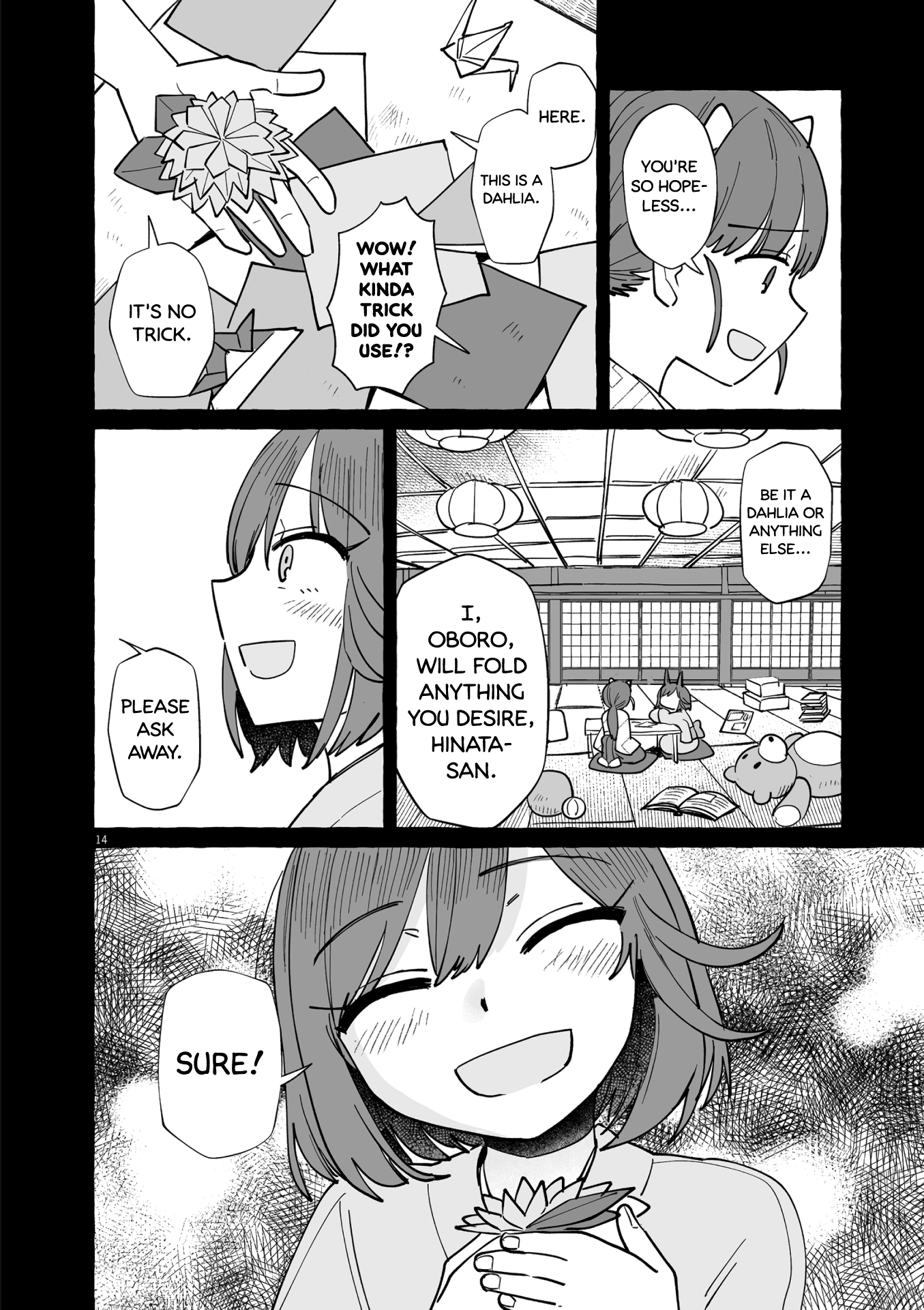Page 14