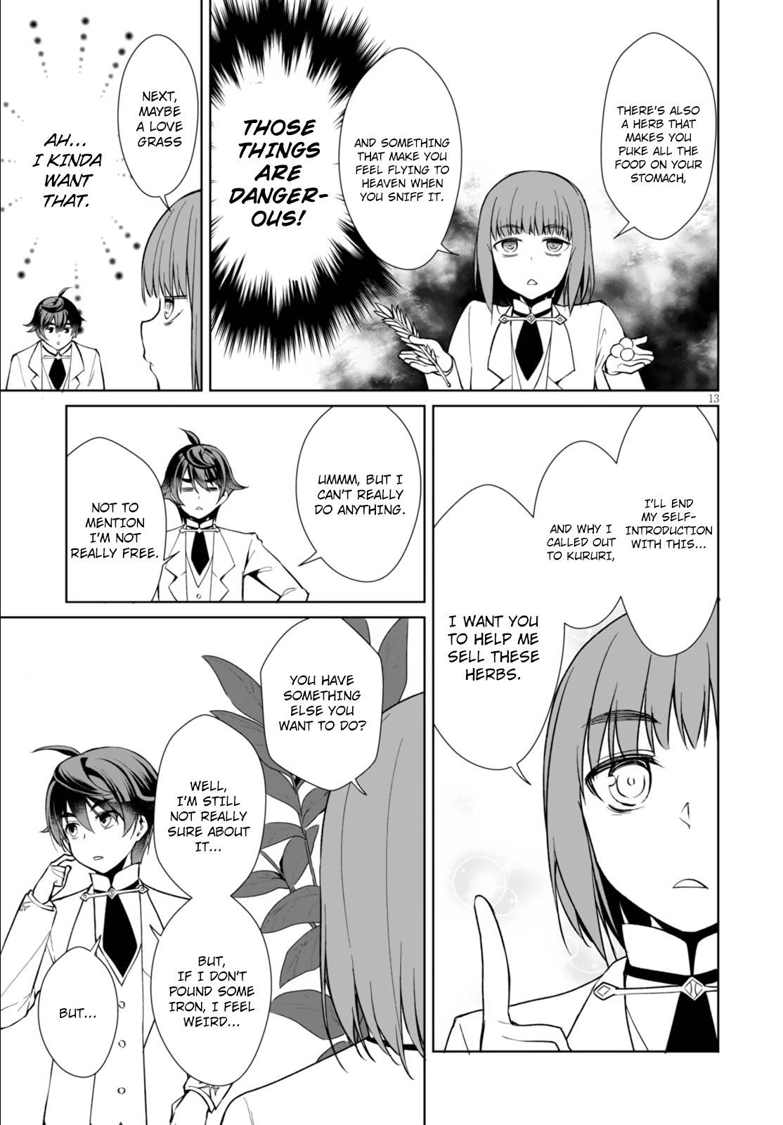 Page 13