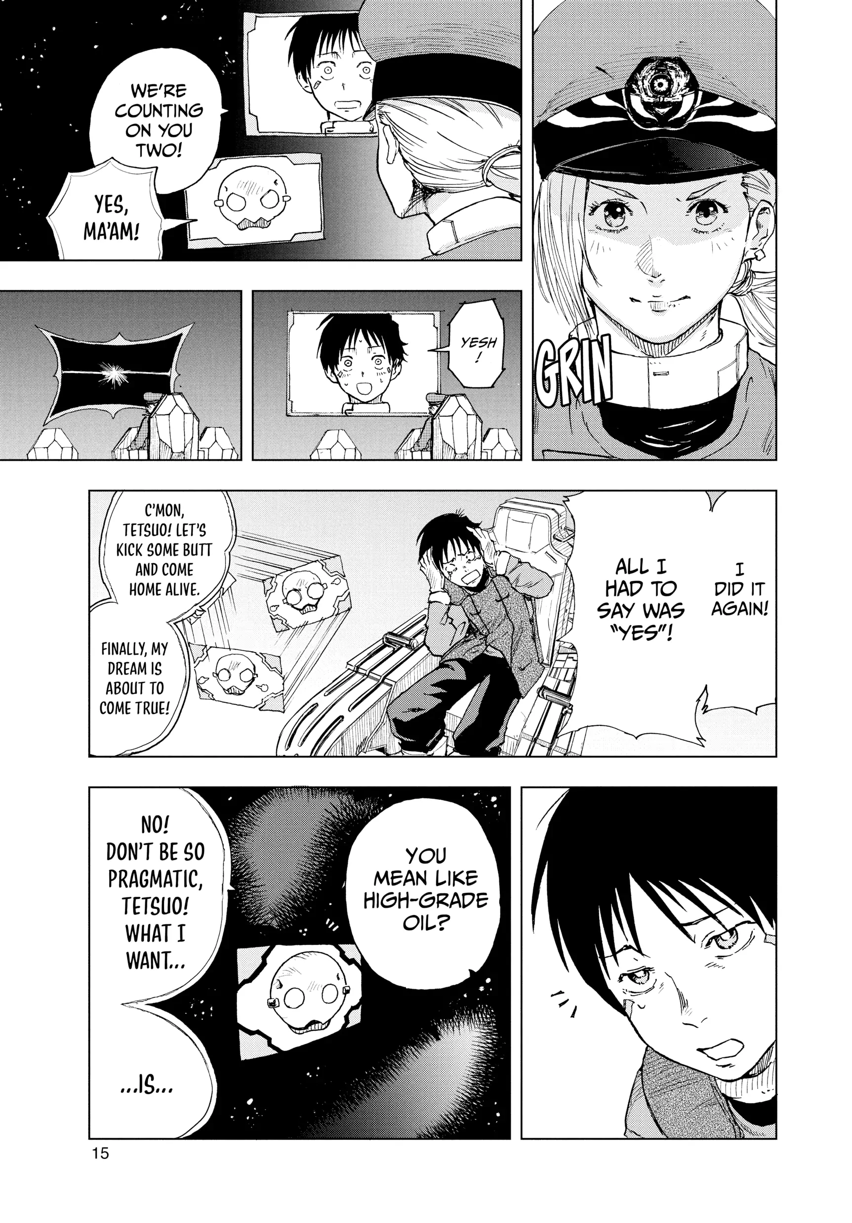 Page 15