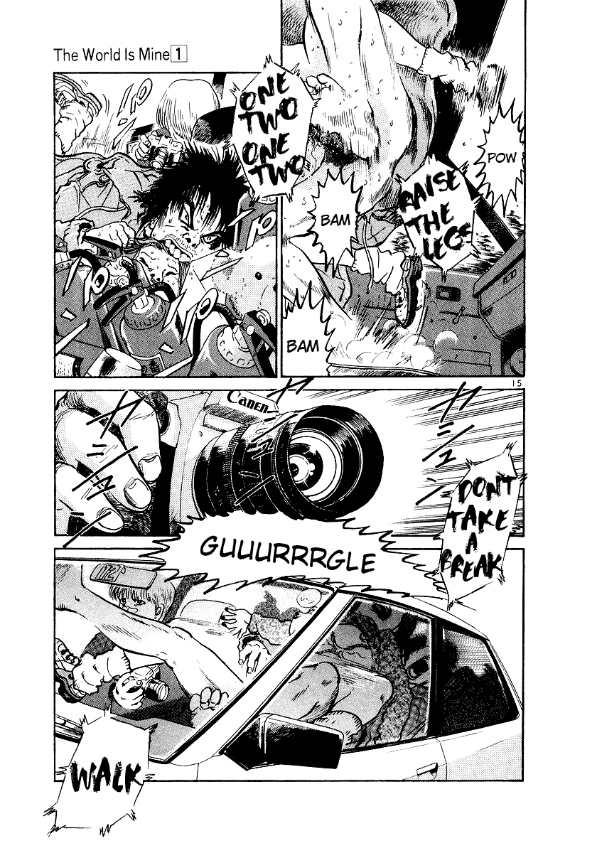 Page 15