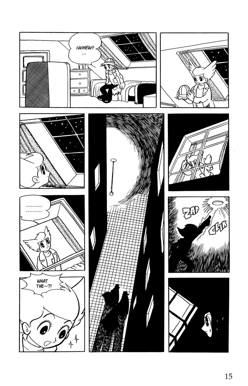 Page 15