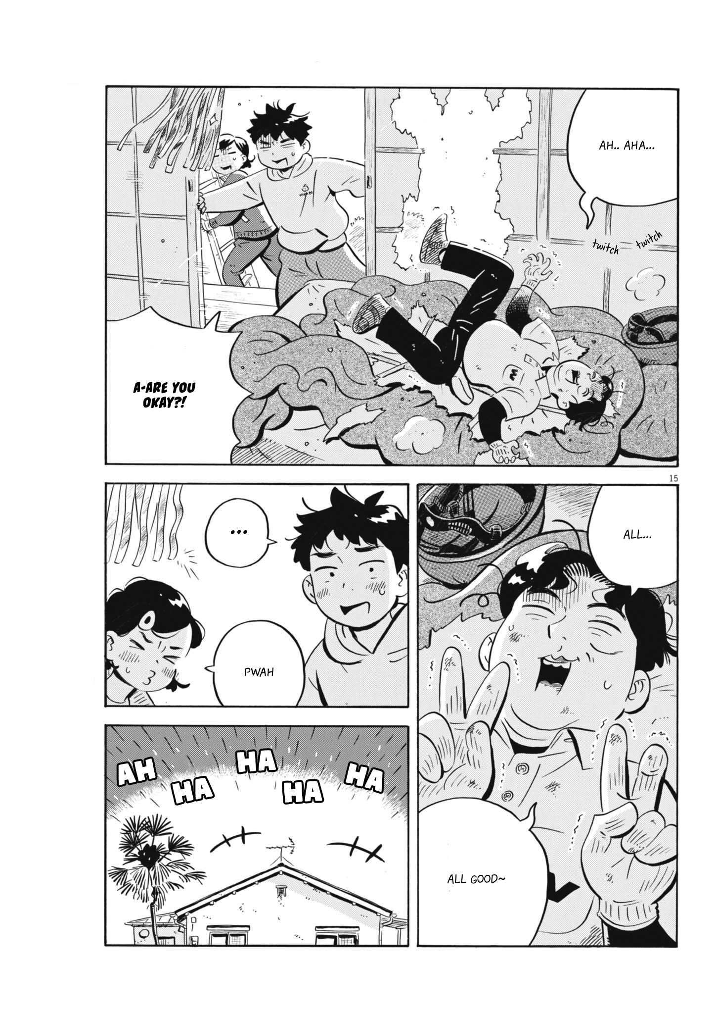 Page 15