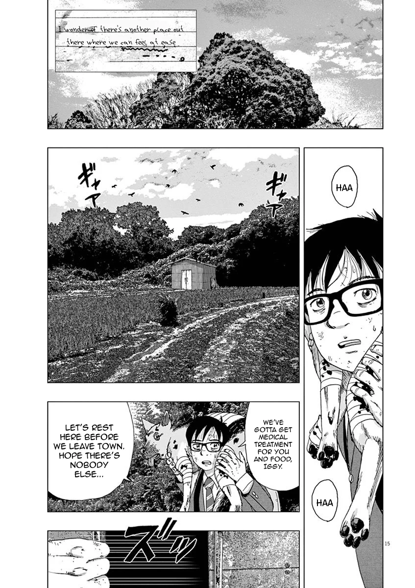 Page 15