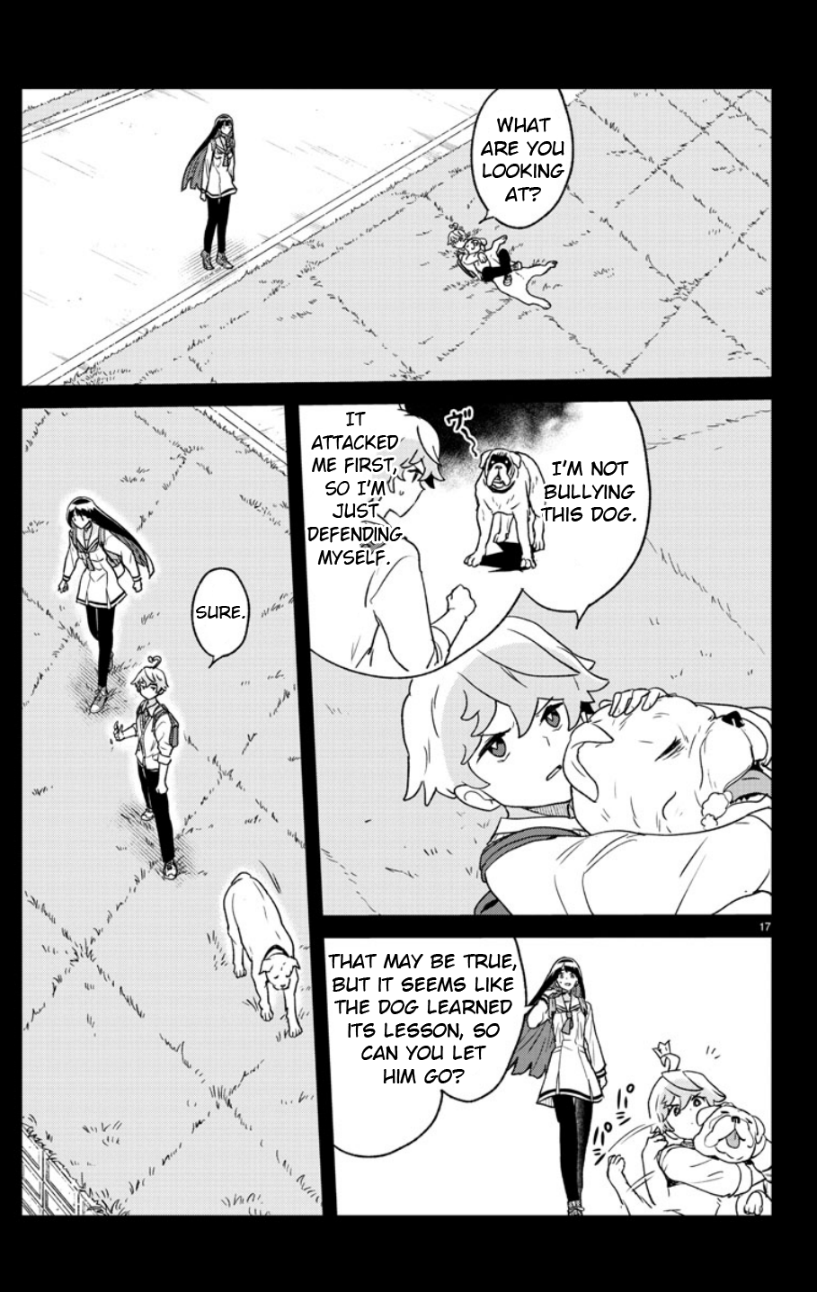 Page 17