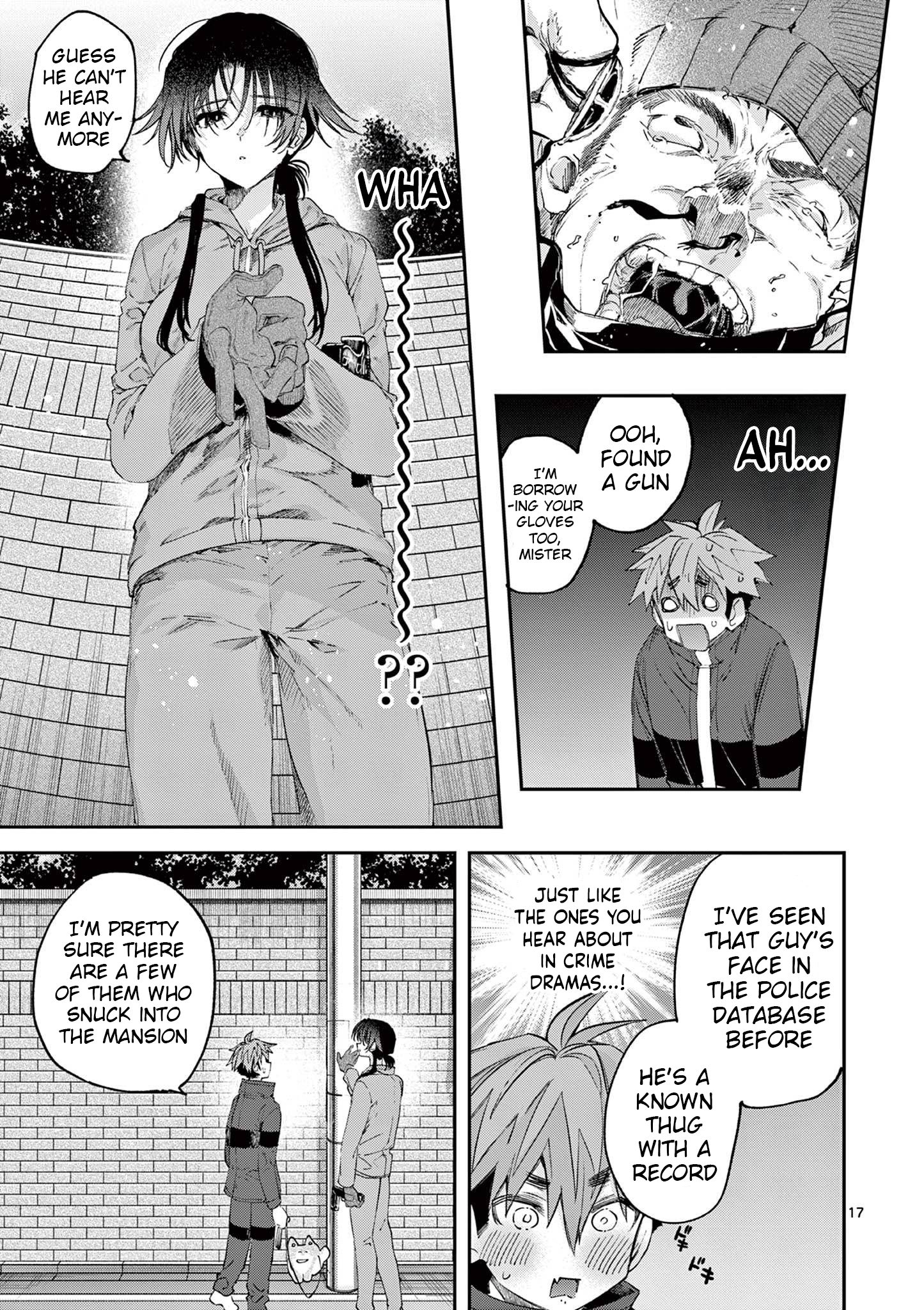 Page 17