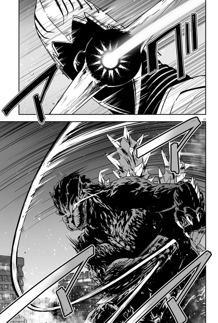 Page 17