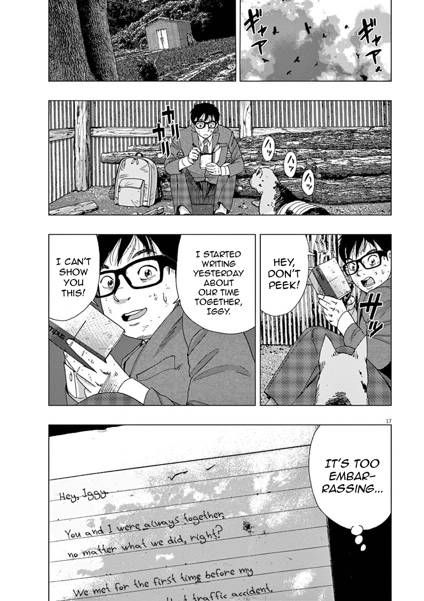 Page 17
