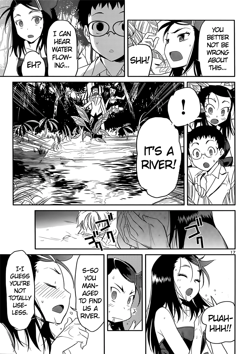 Page 17