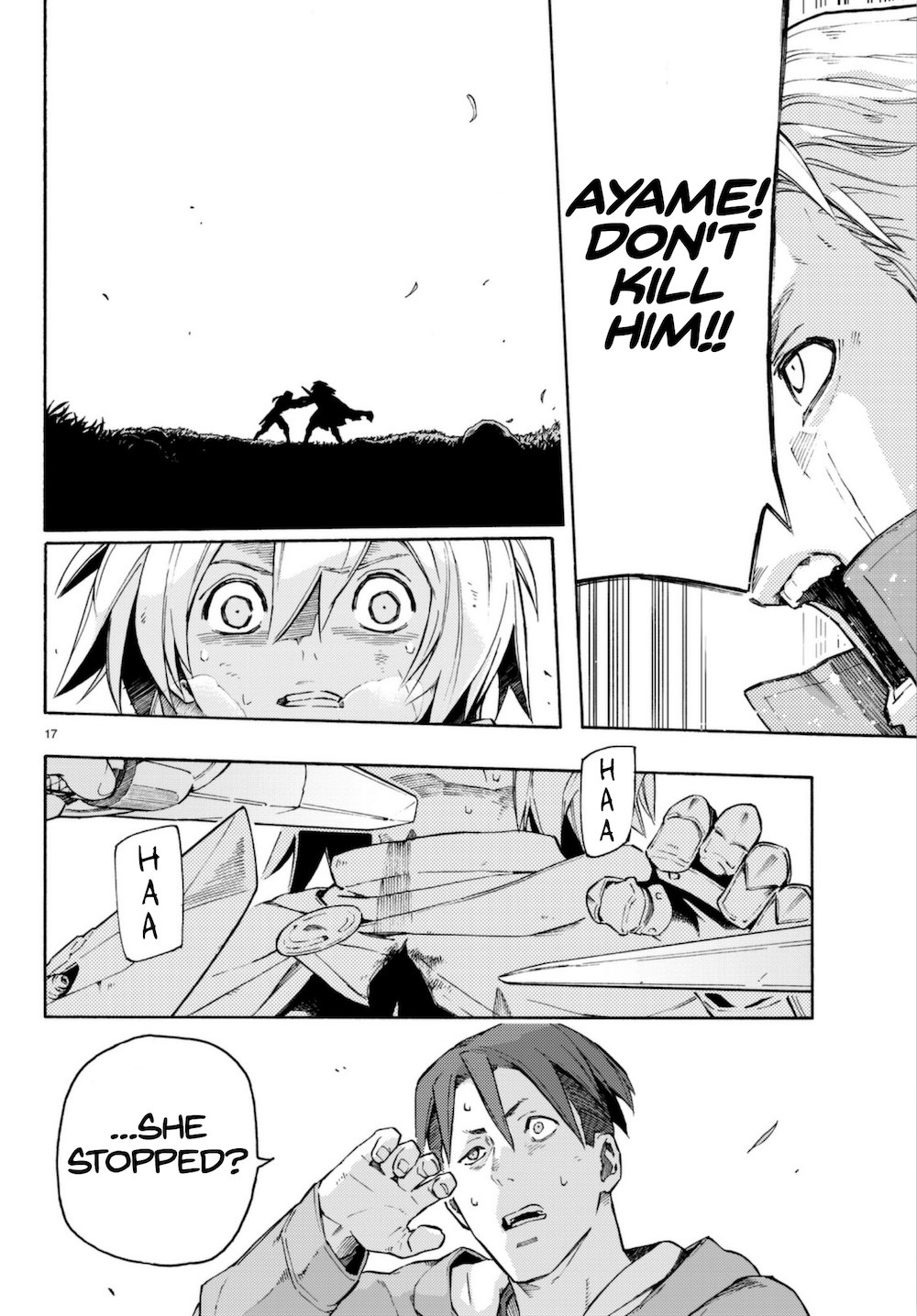 Page 17