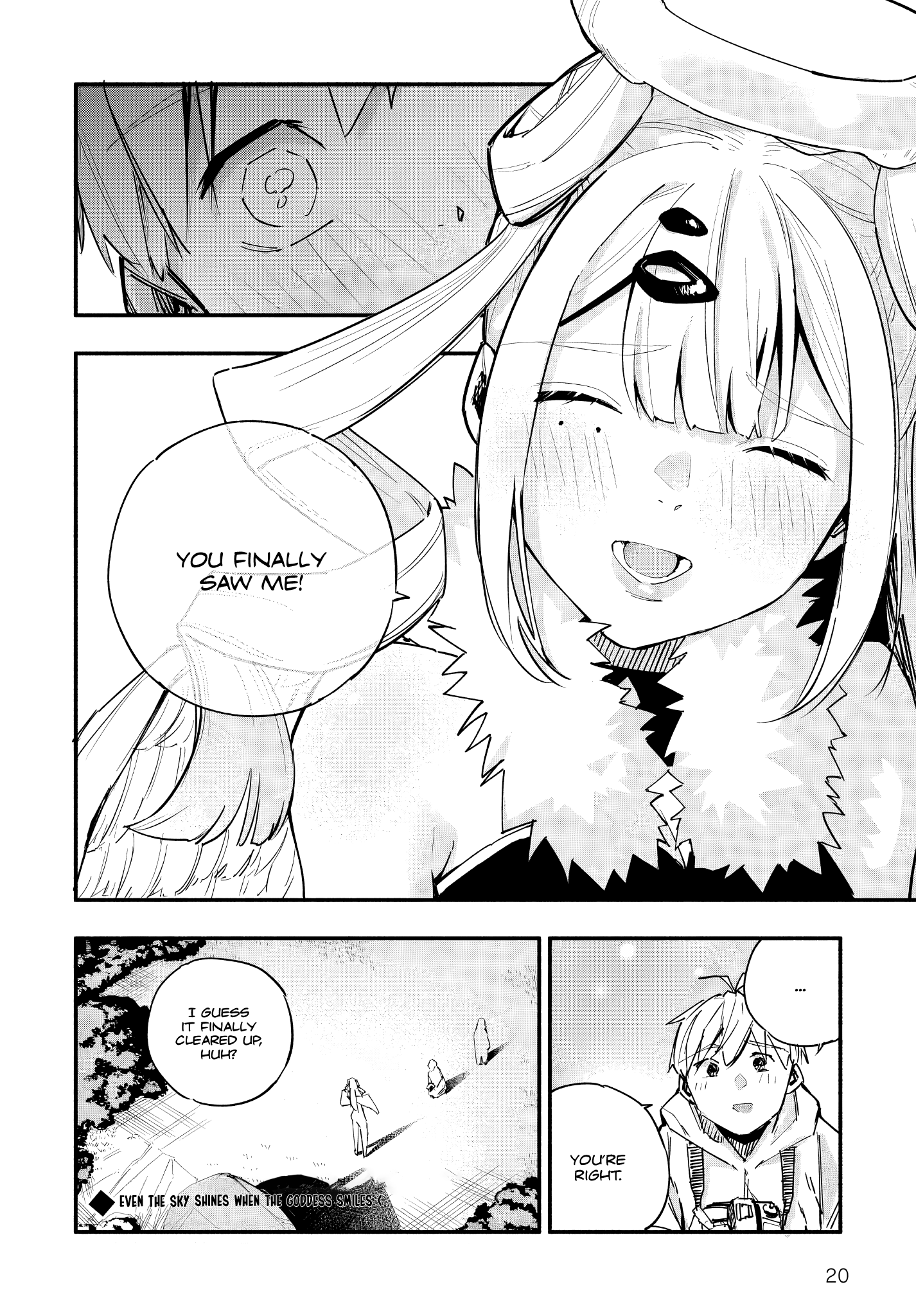 Page 20