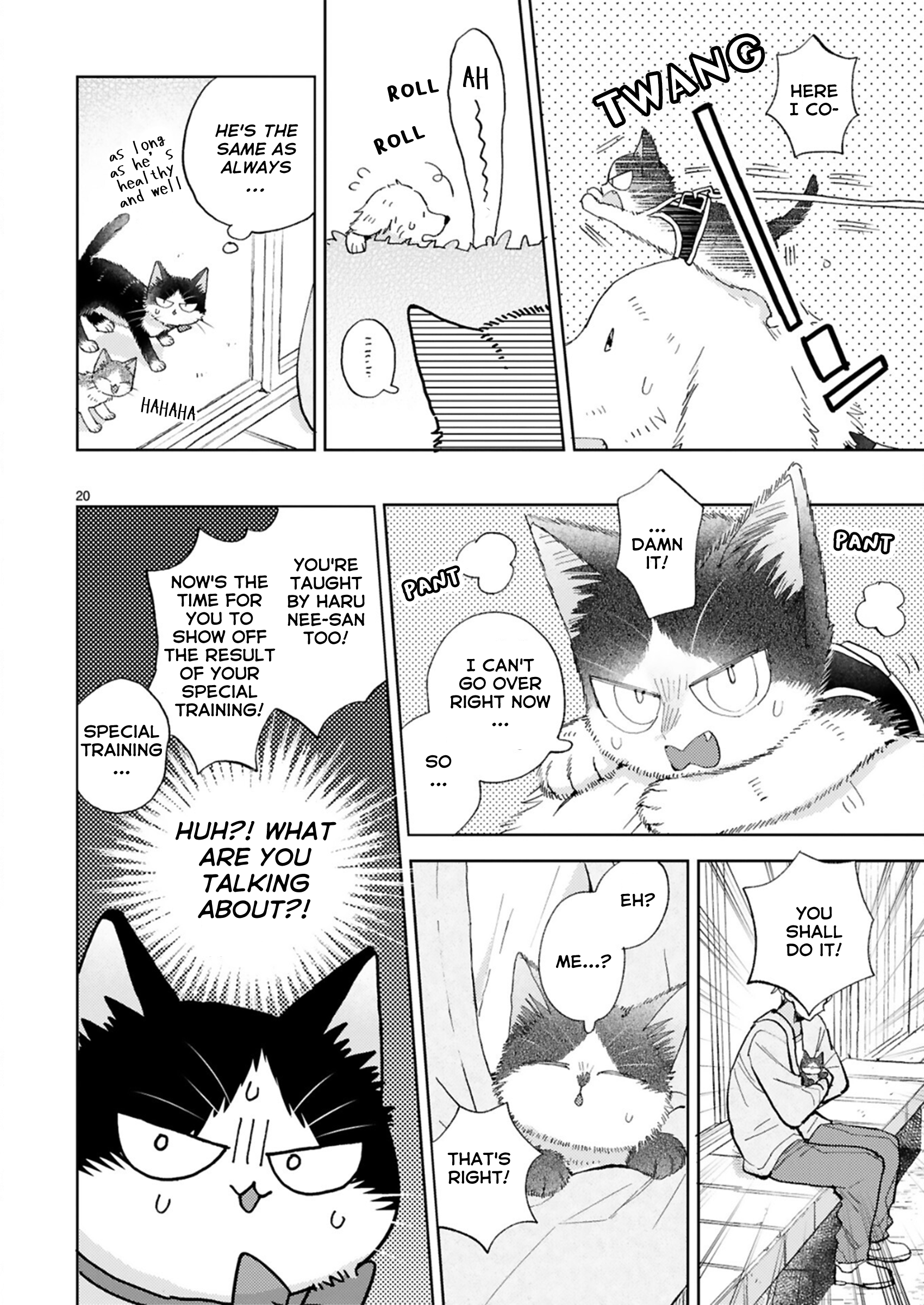 Page 20