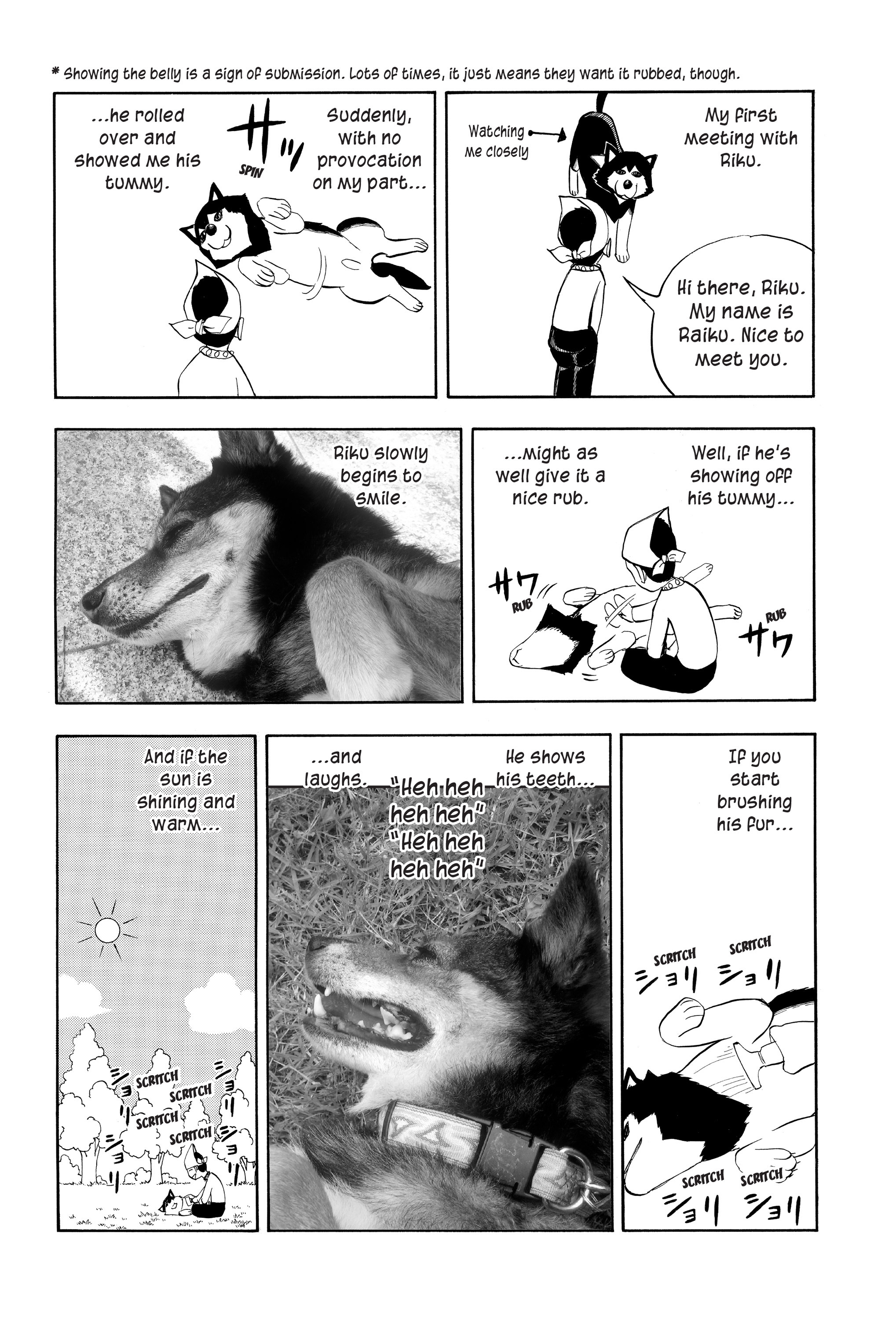 Page 194