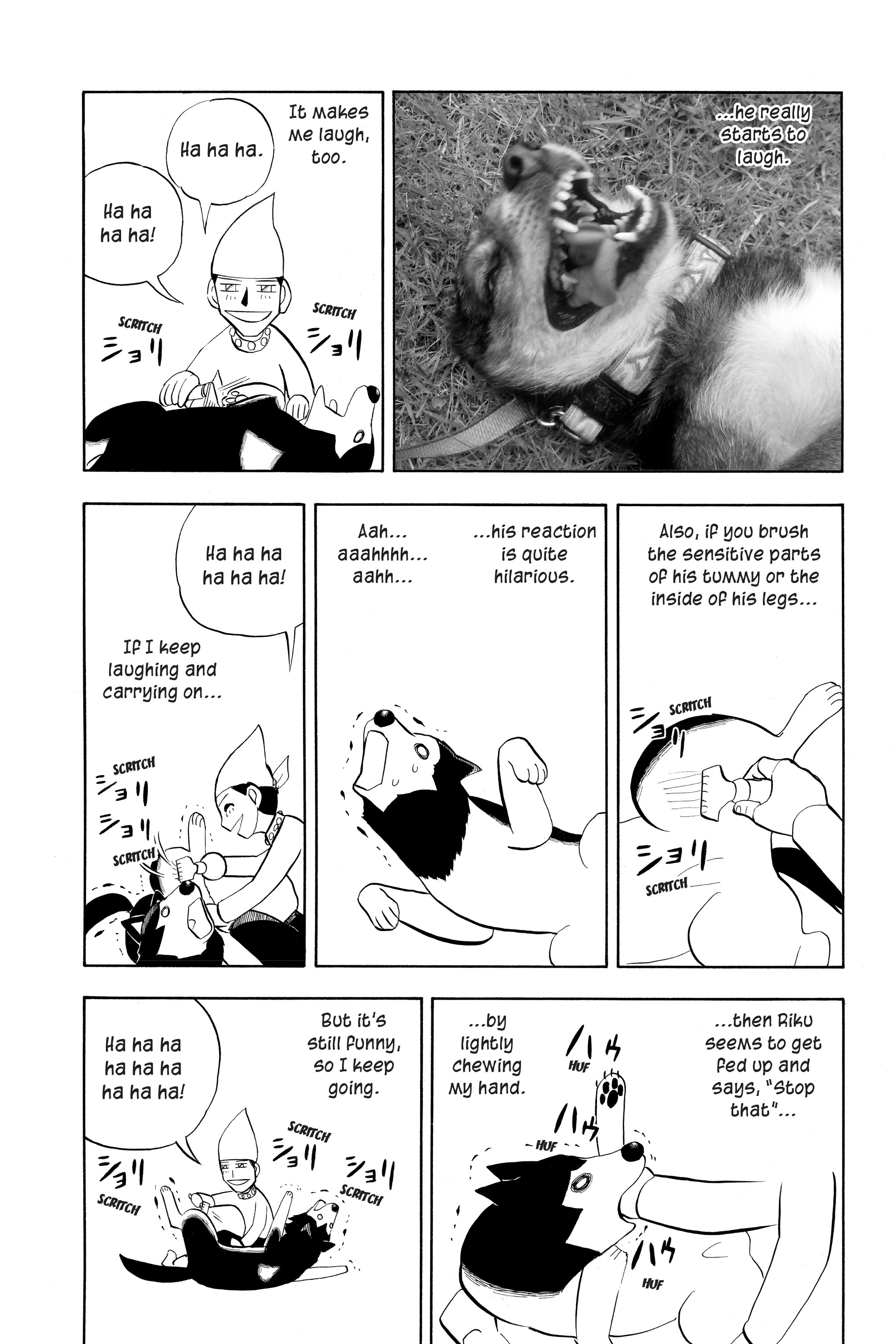 Page 195