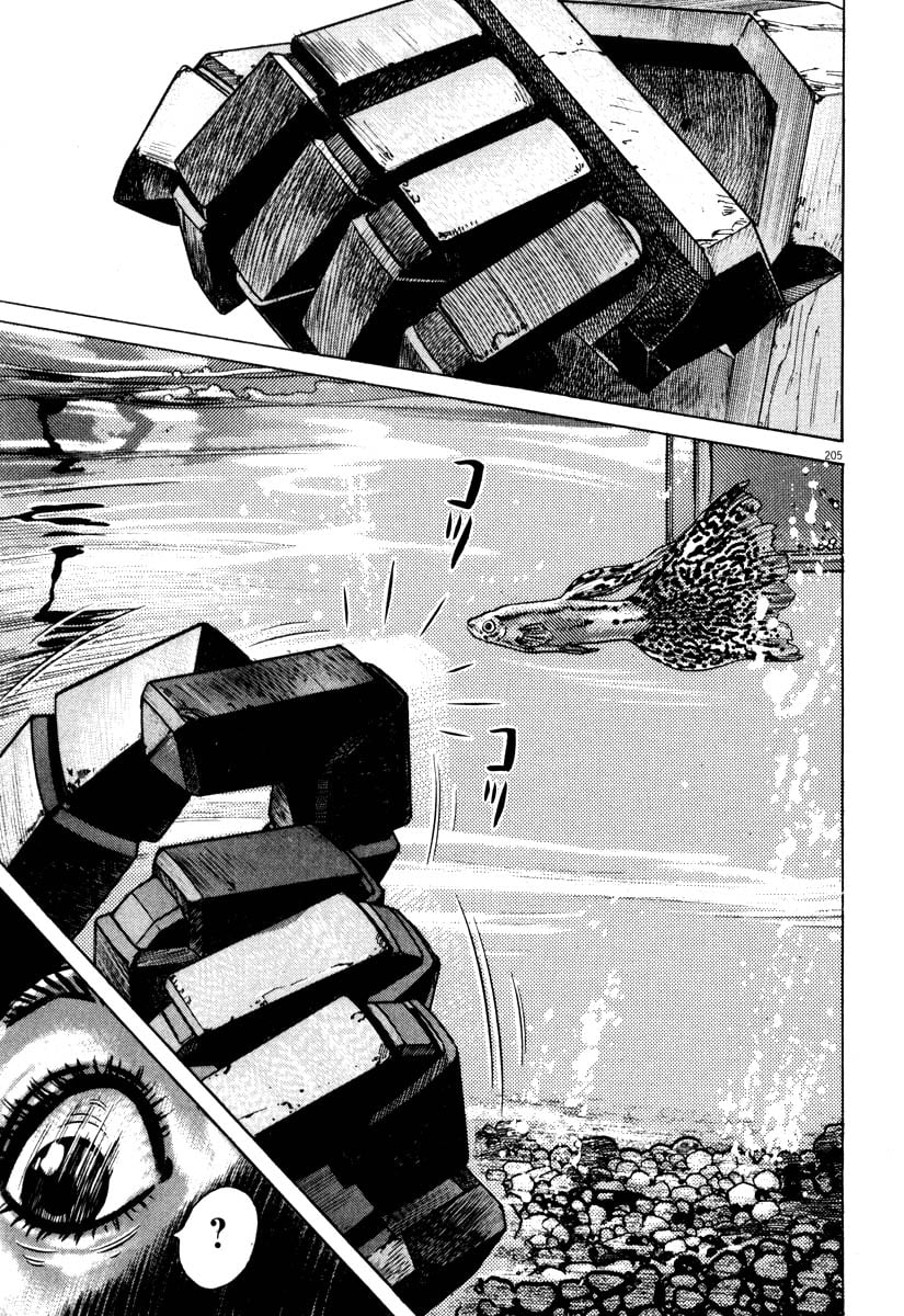 Page 205