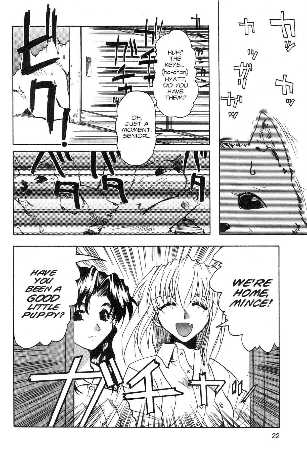 Page 22