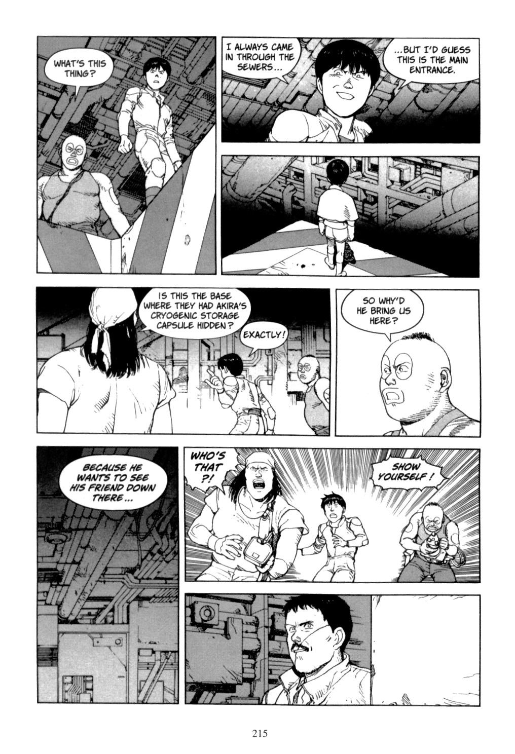 Page 213