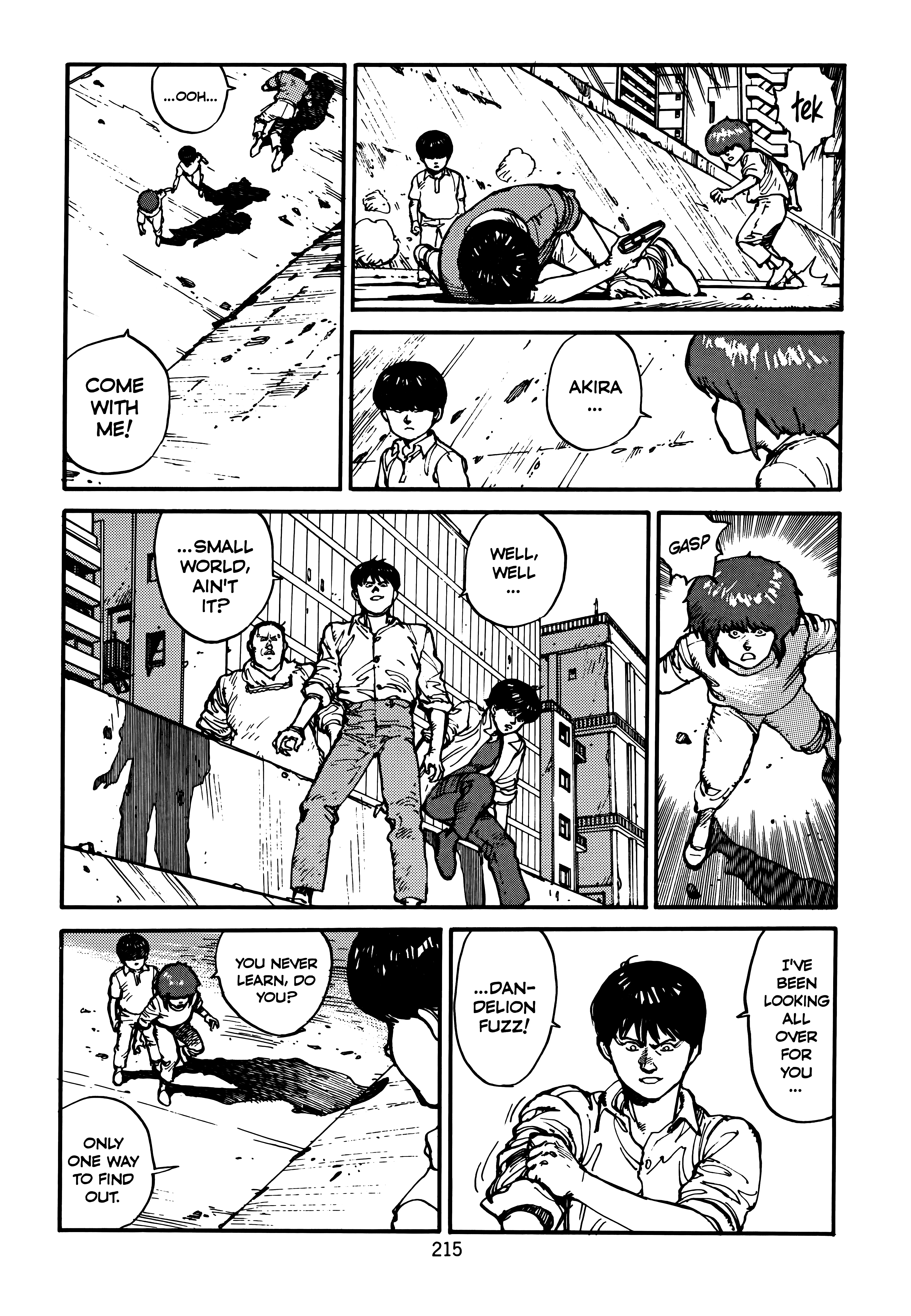 Page 219