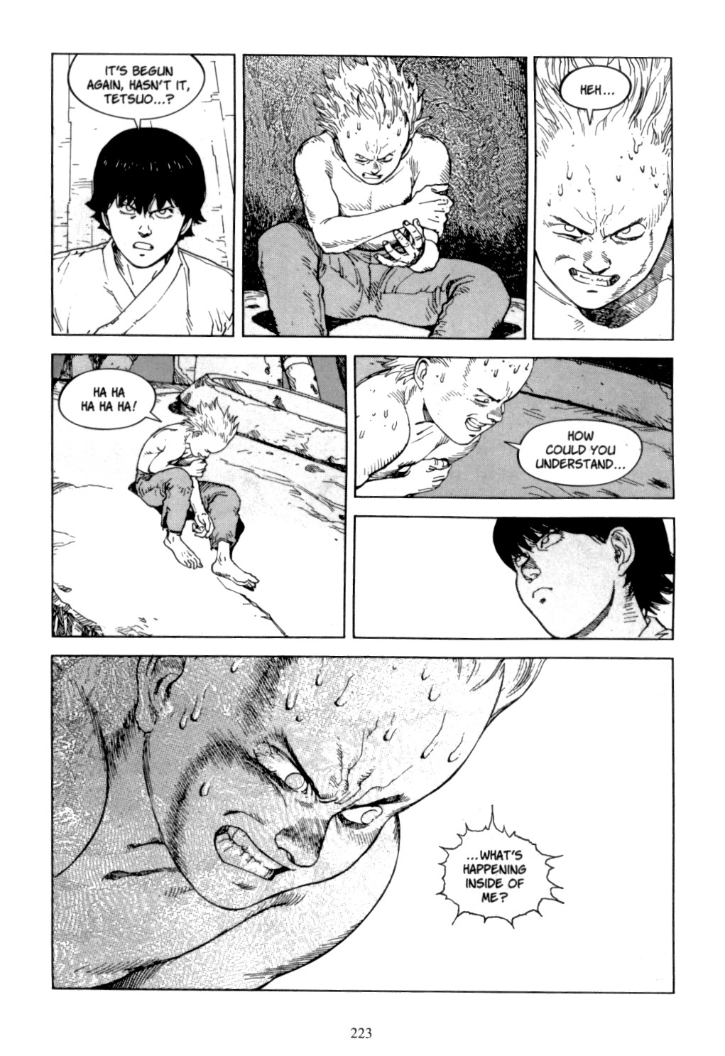 Page 221