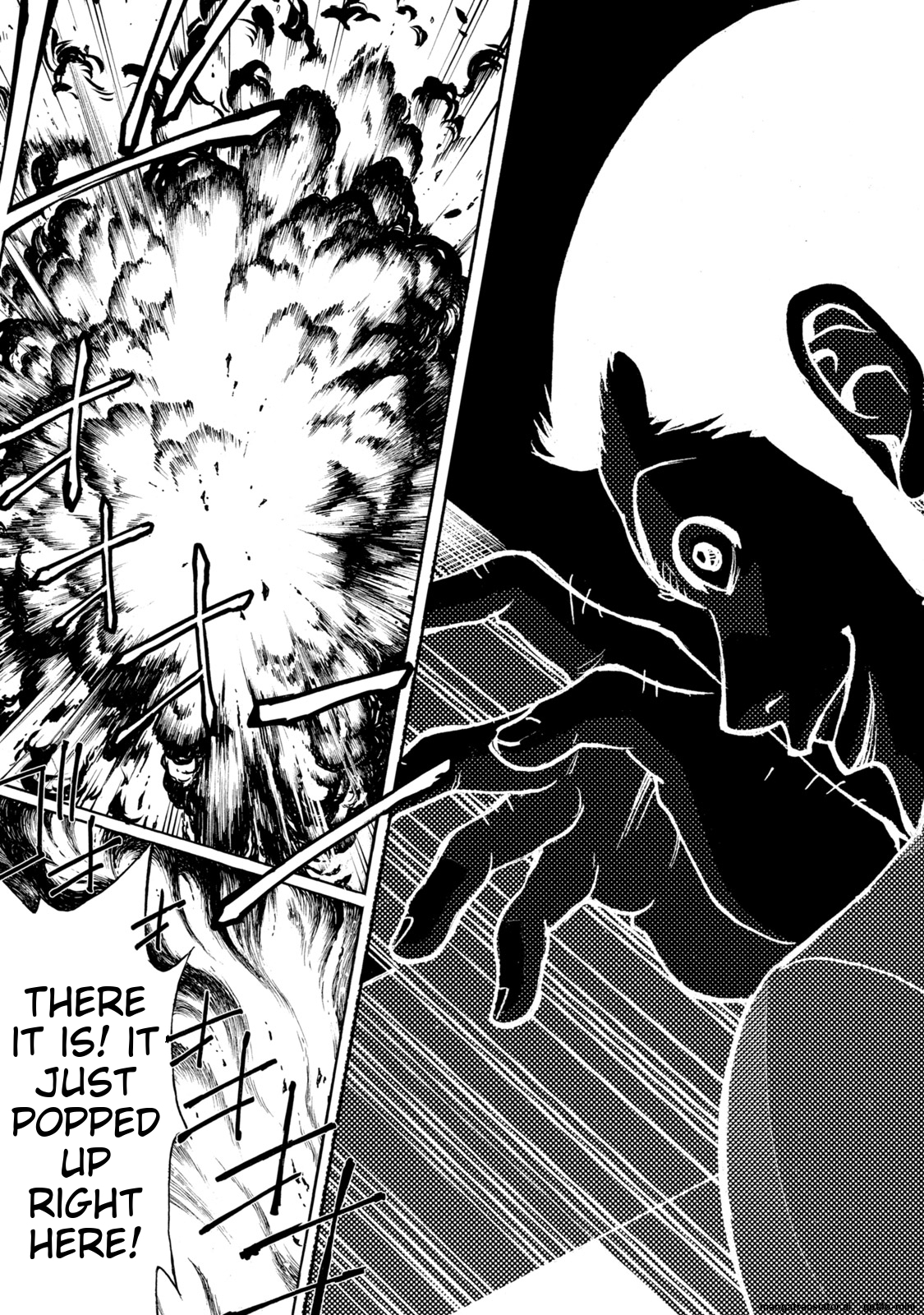 Page 221