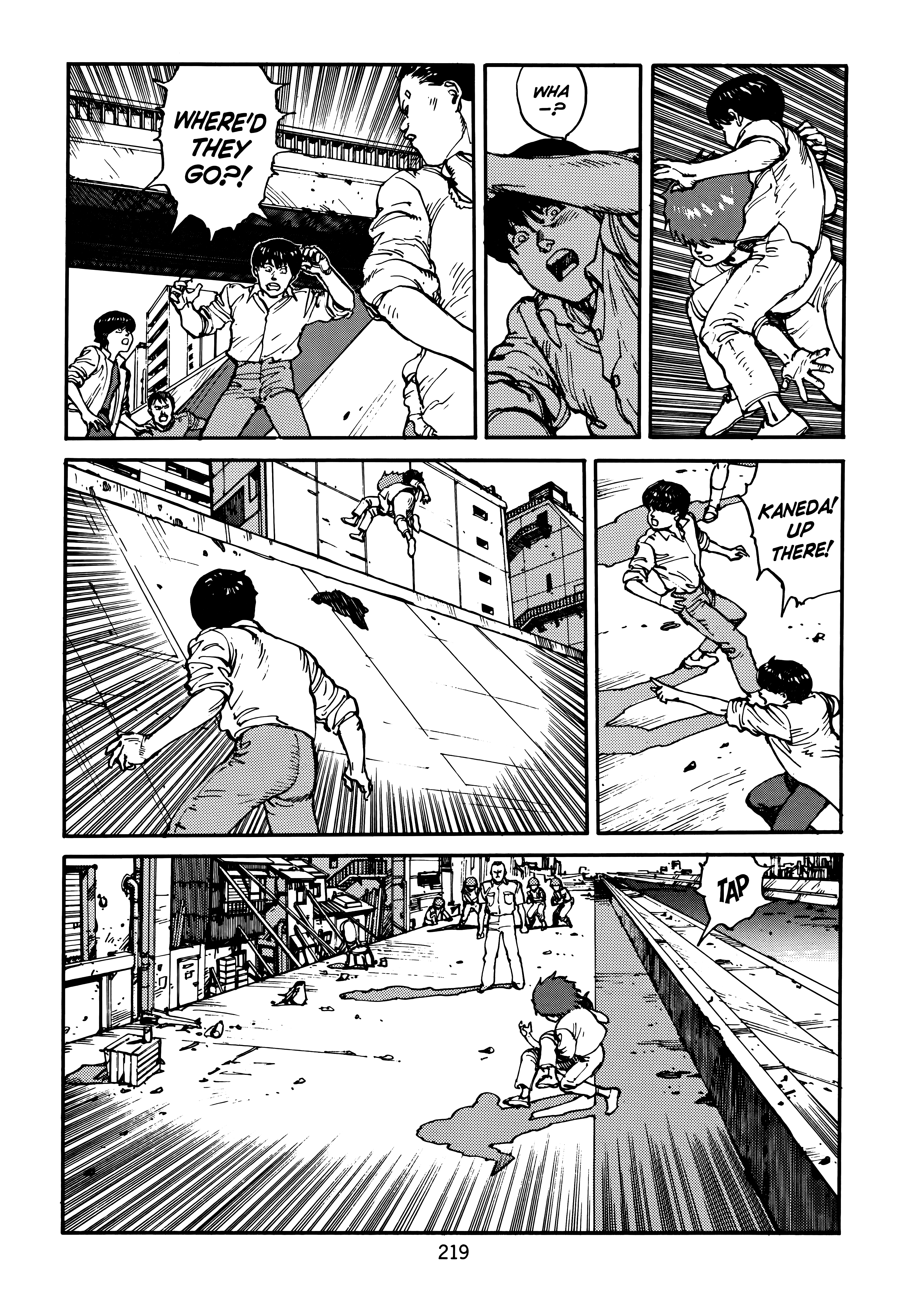 Page 223