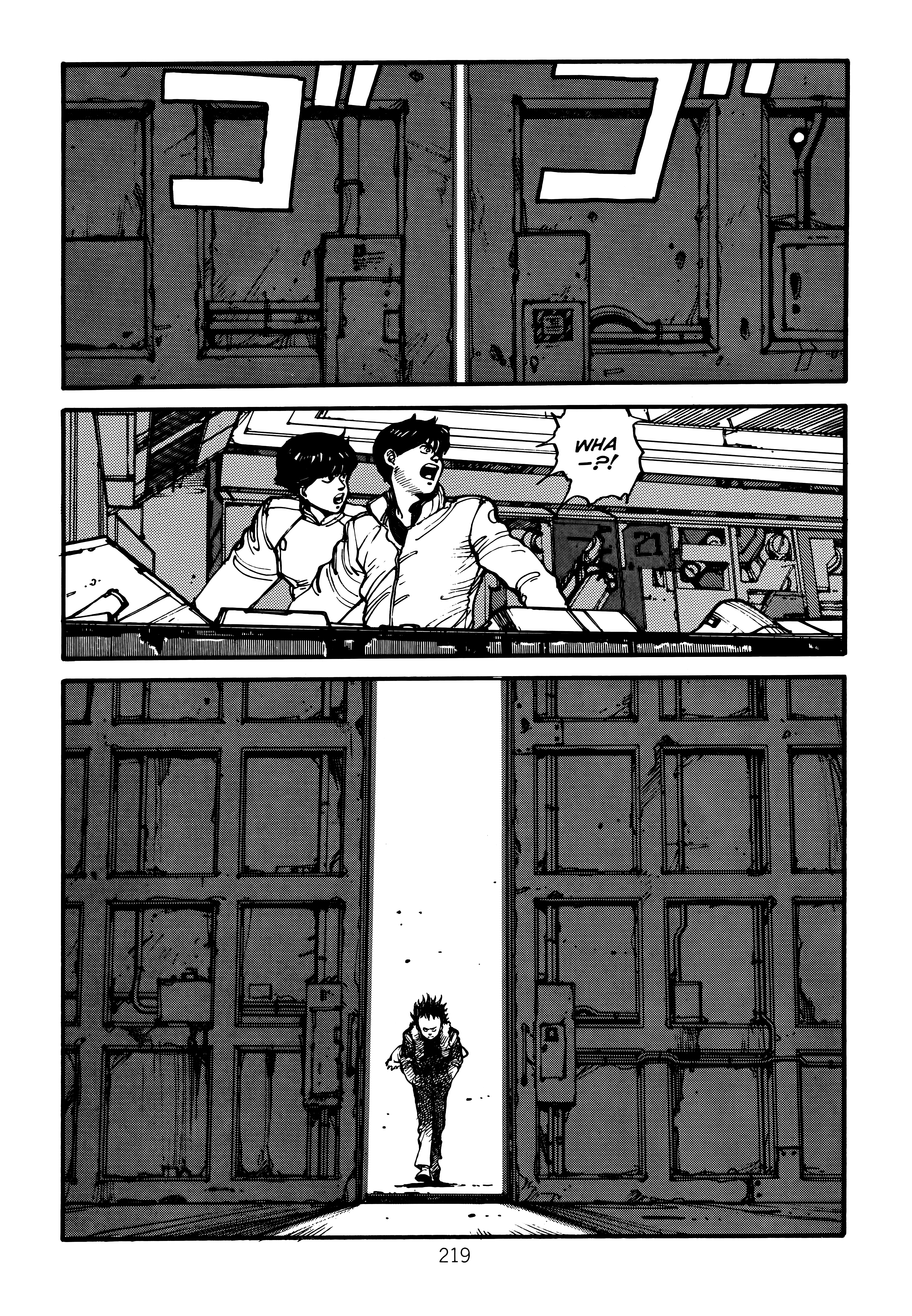 Page 223