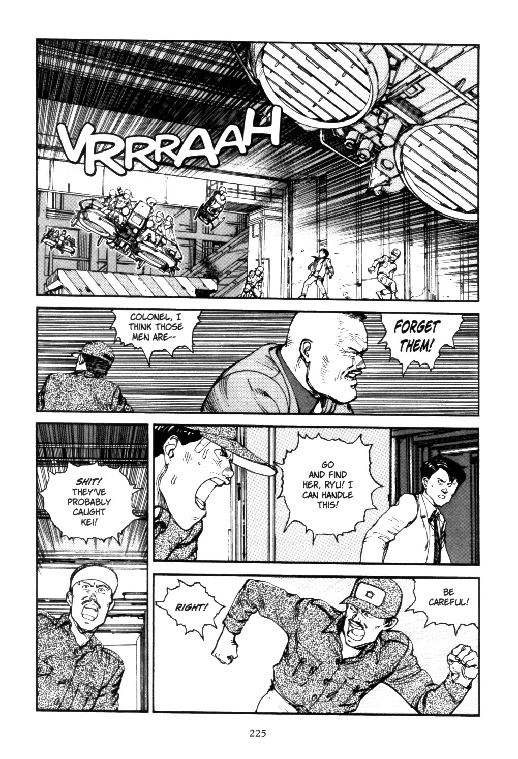 Page 223