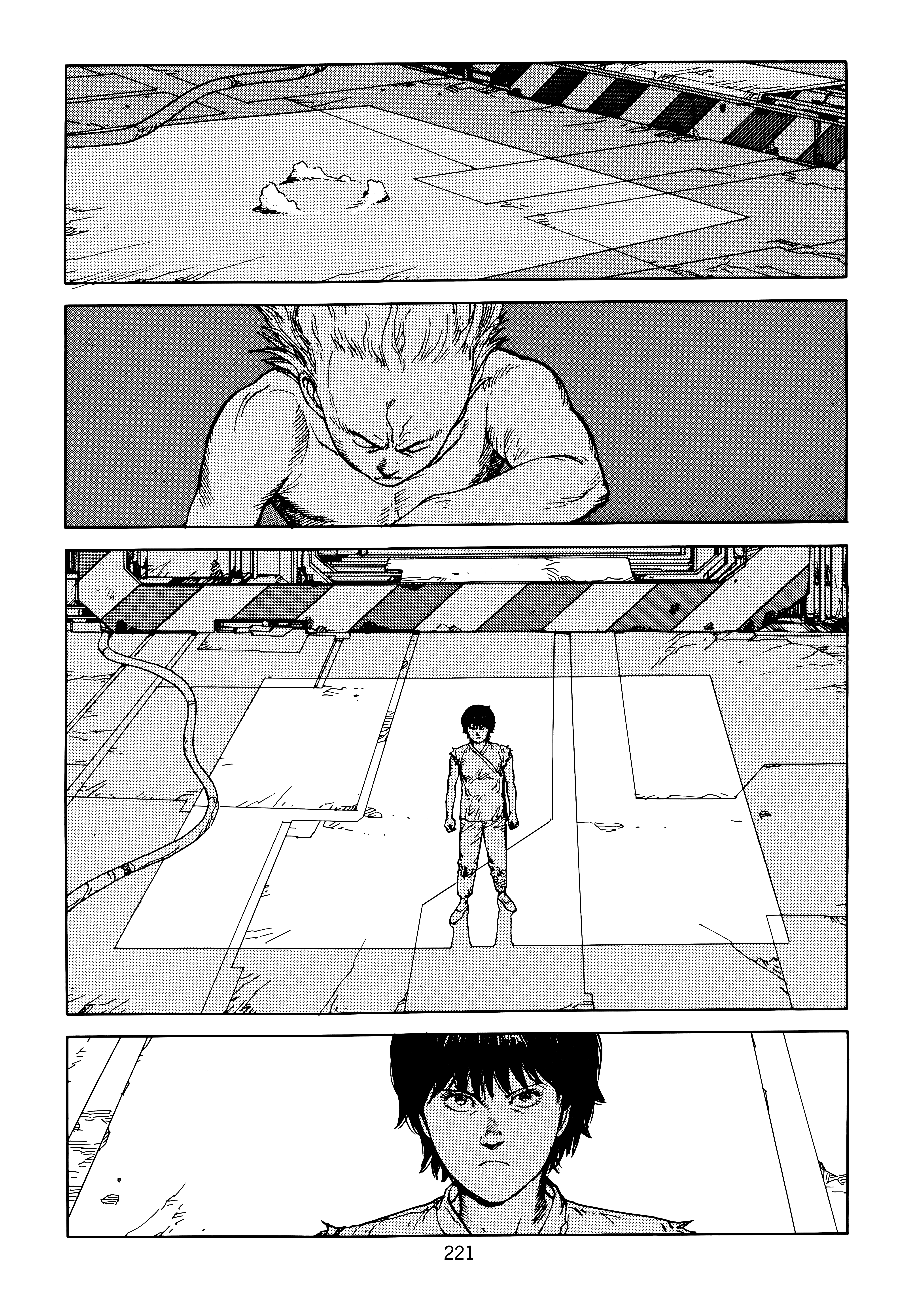 Page 223