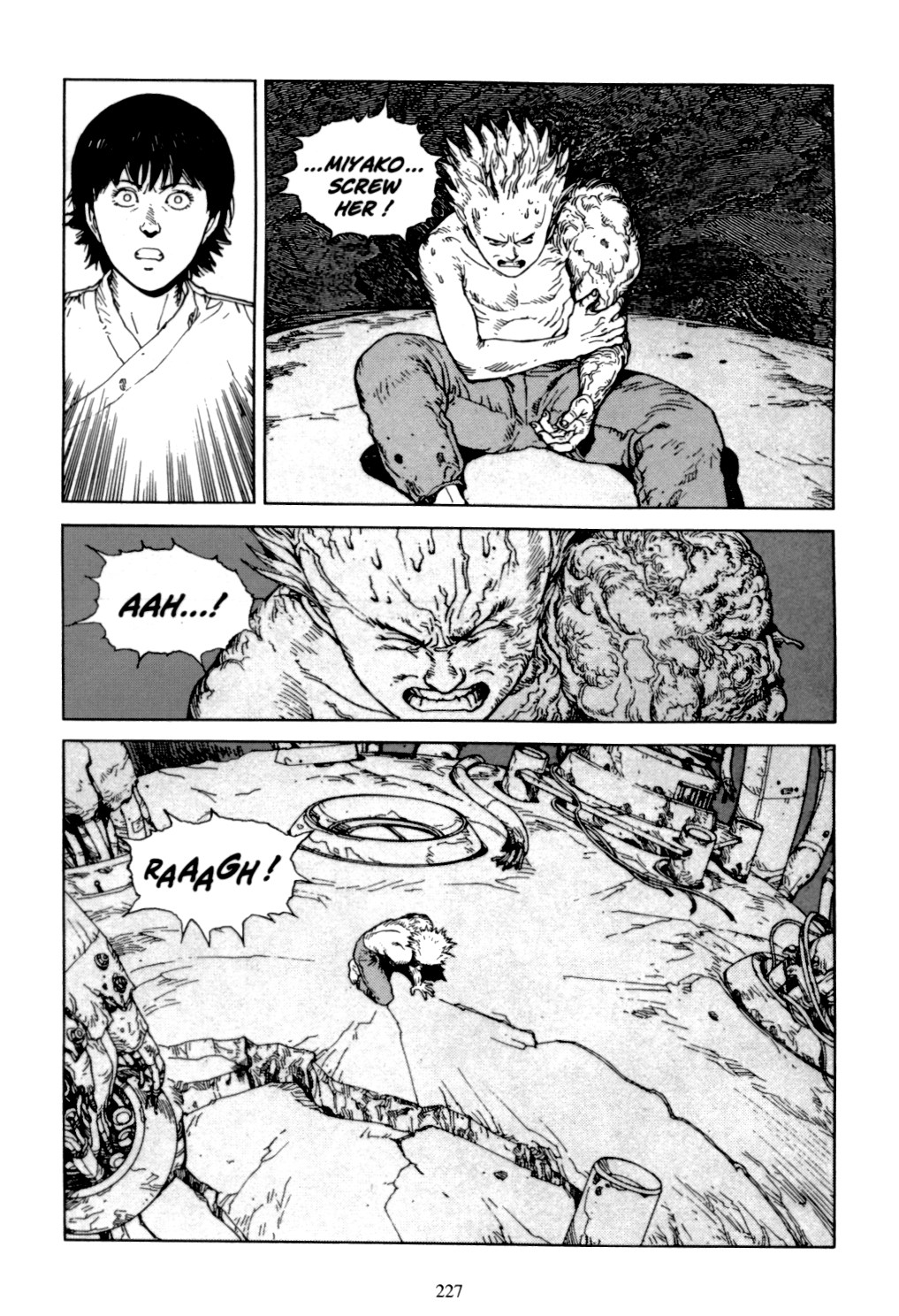 Page 225