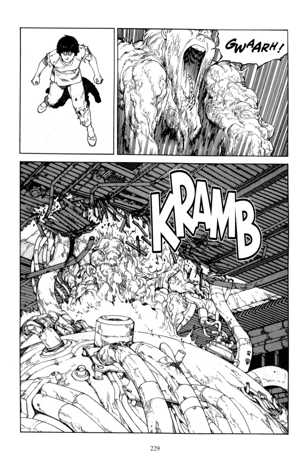 Page 227
