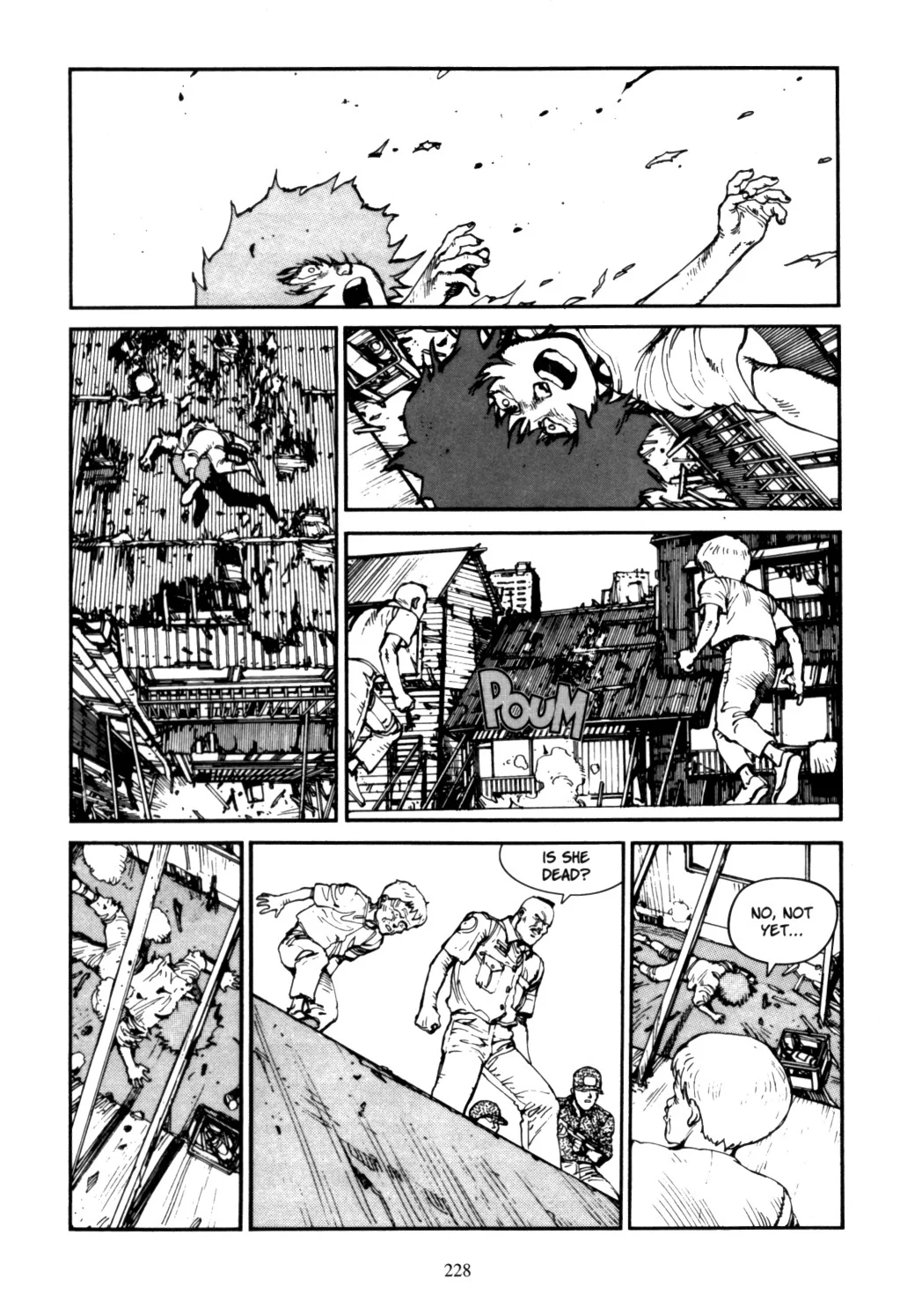 Page 227