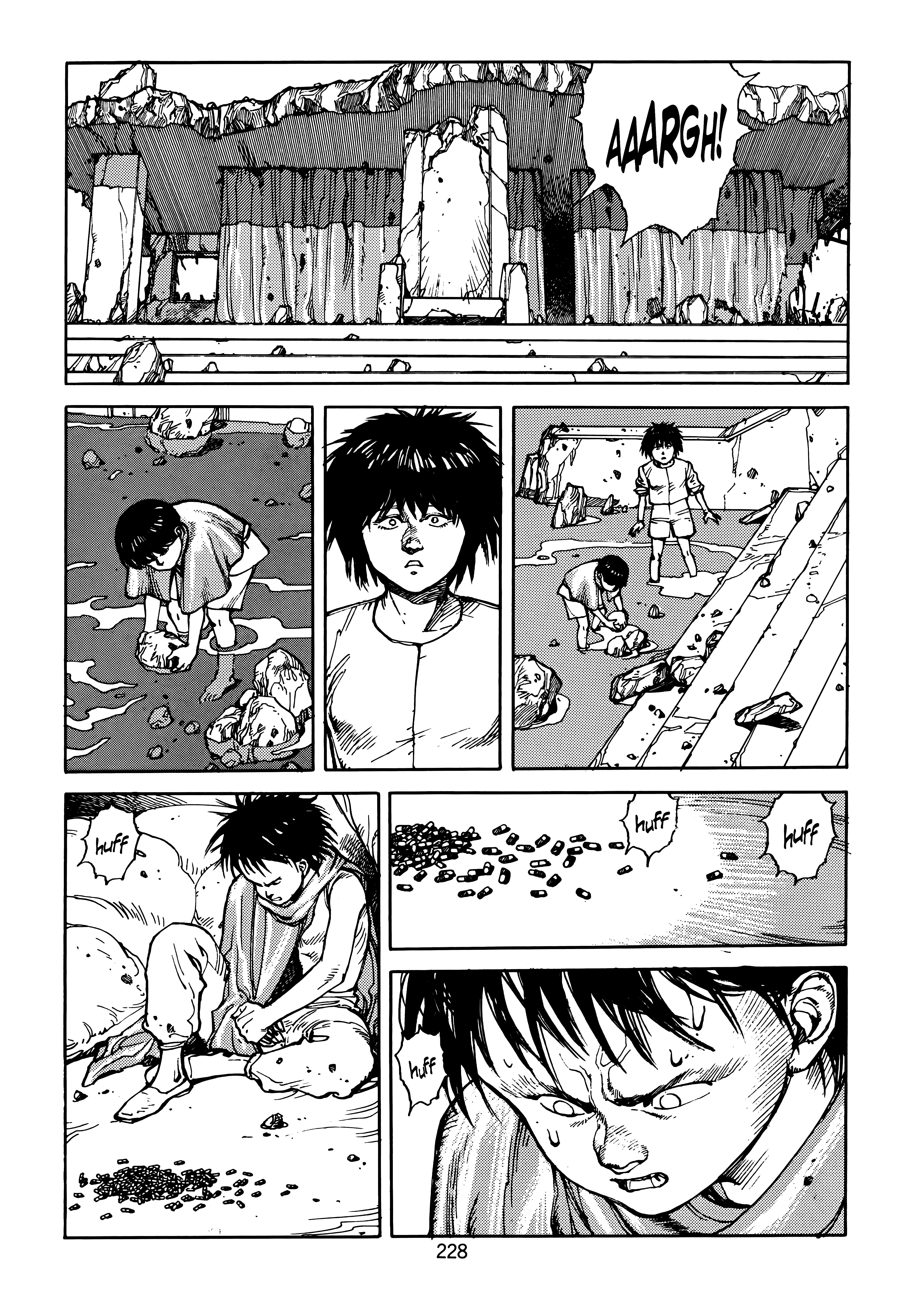 Page 229