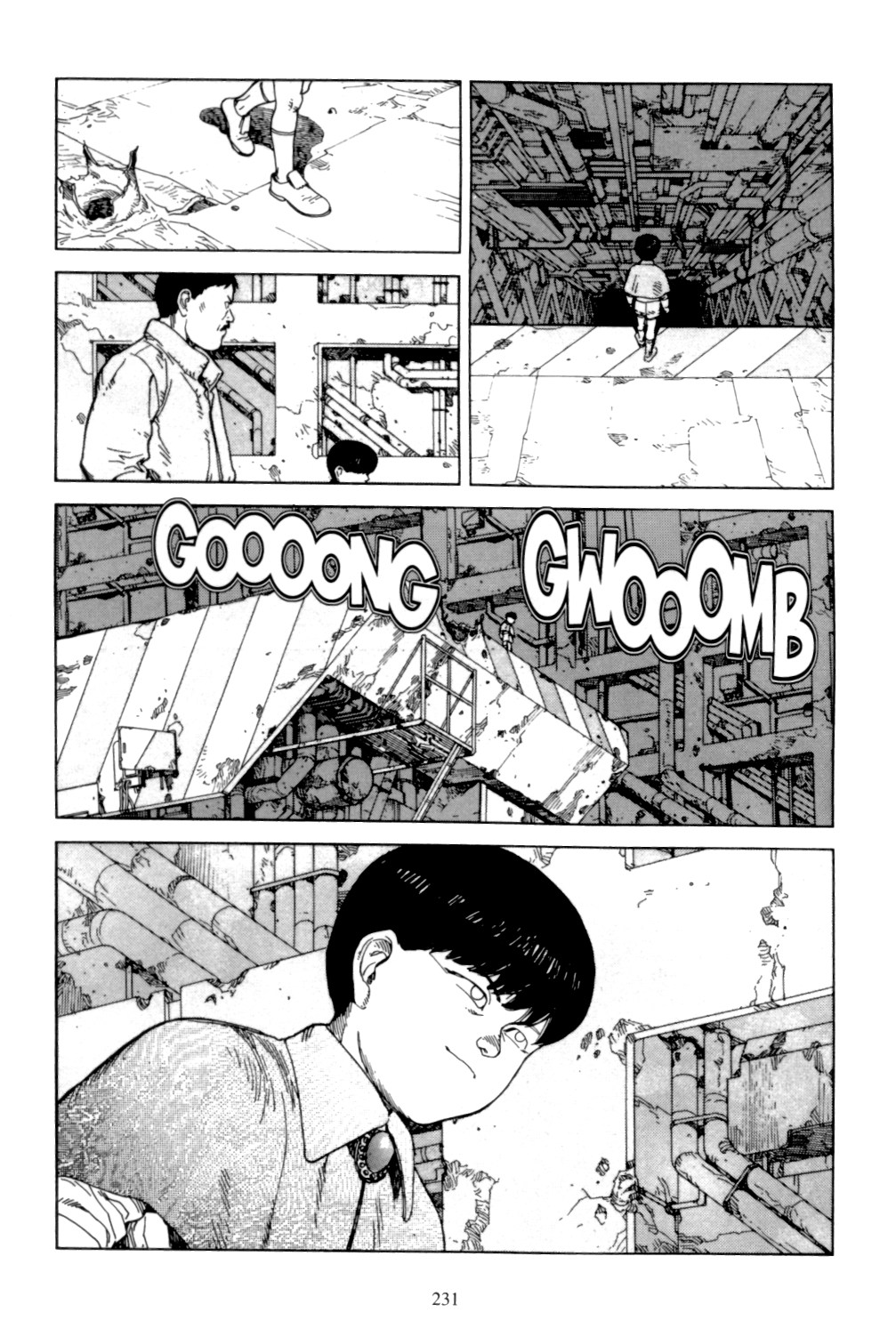 Page 229