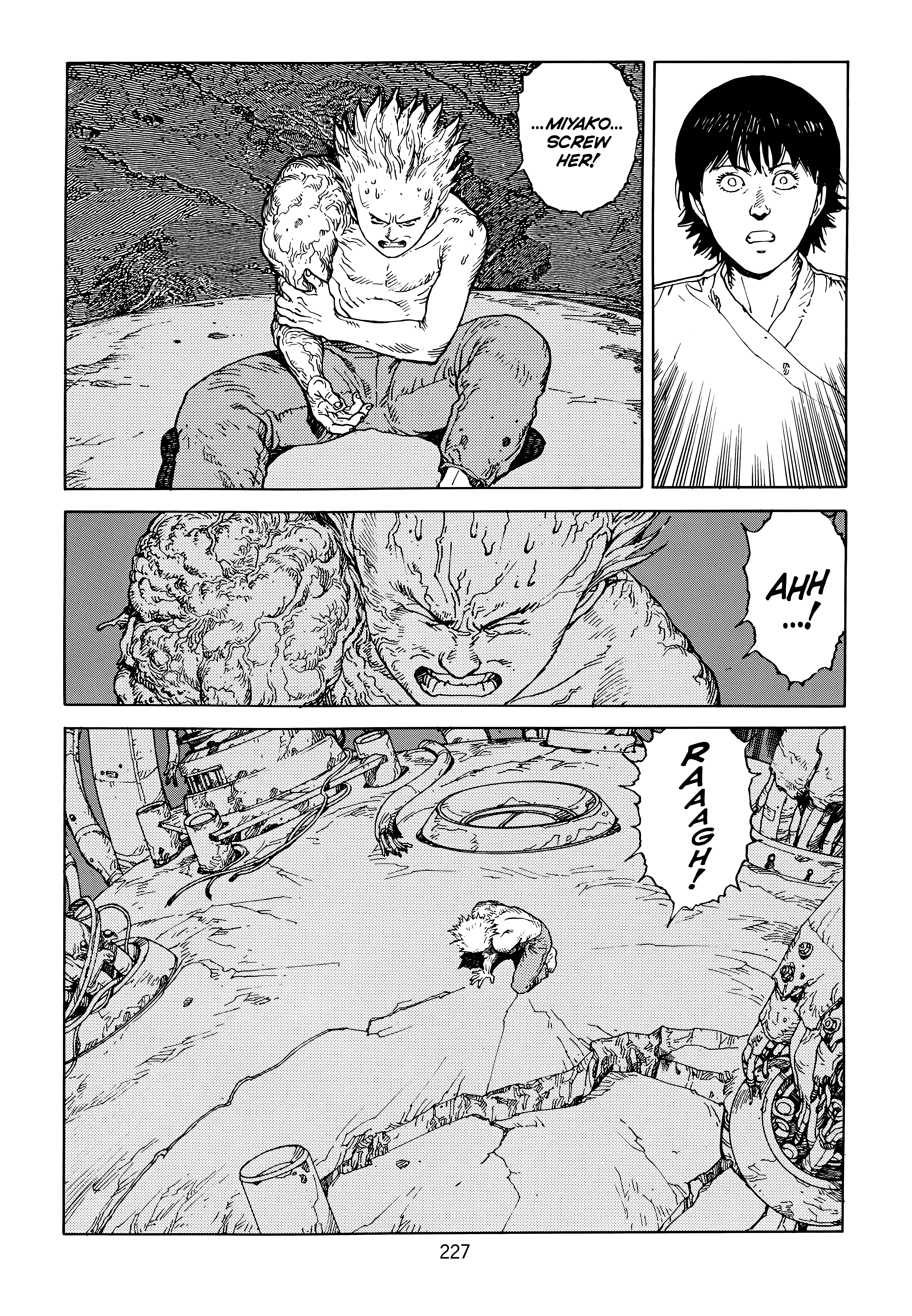 Page 229