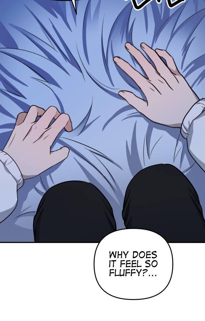Page 231