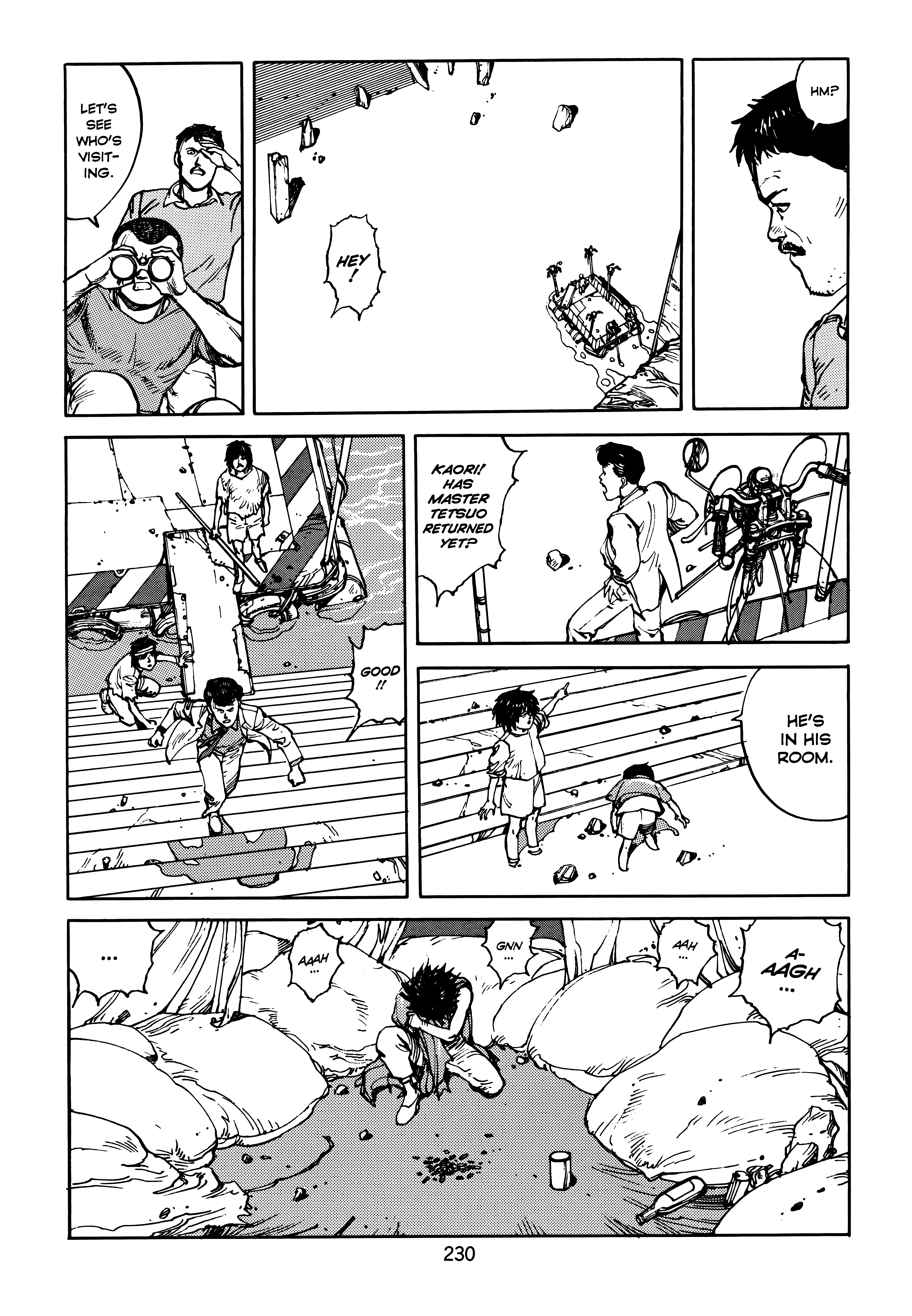 Page 231
